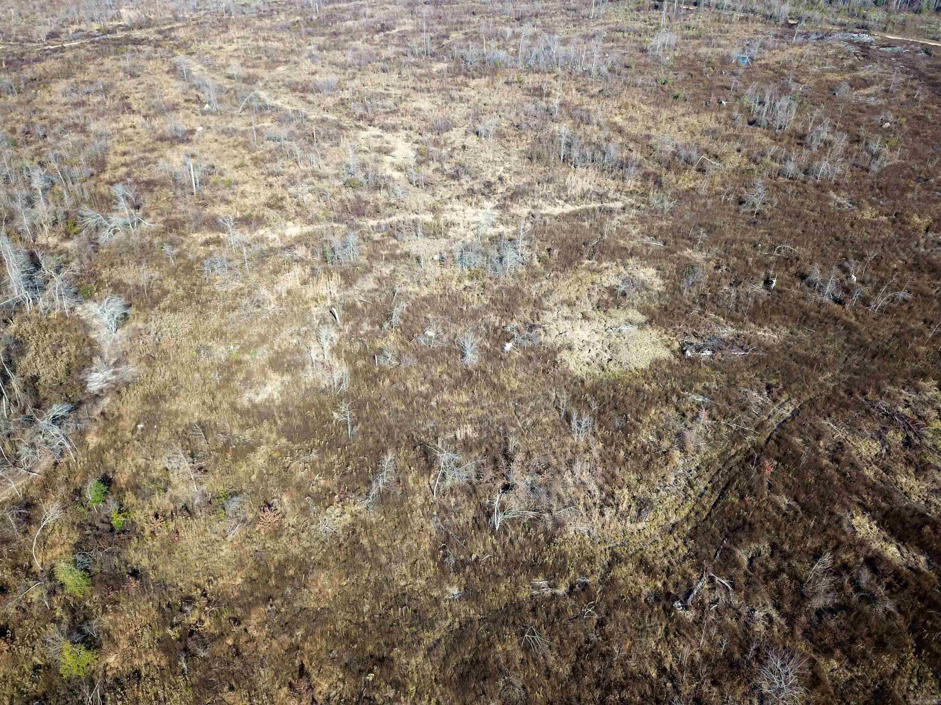 White Oak Slough Road