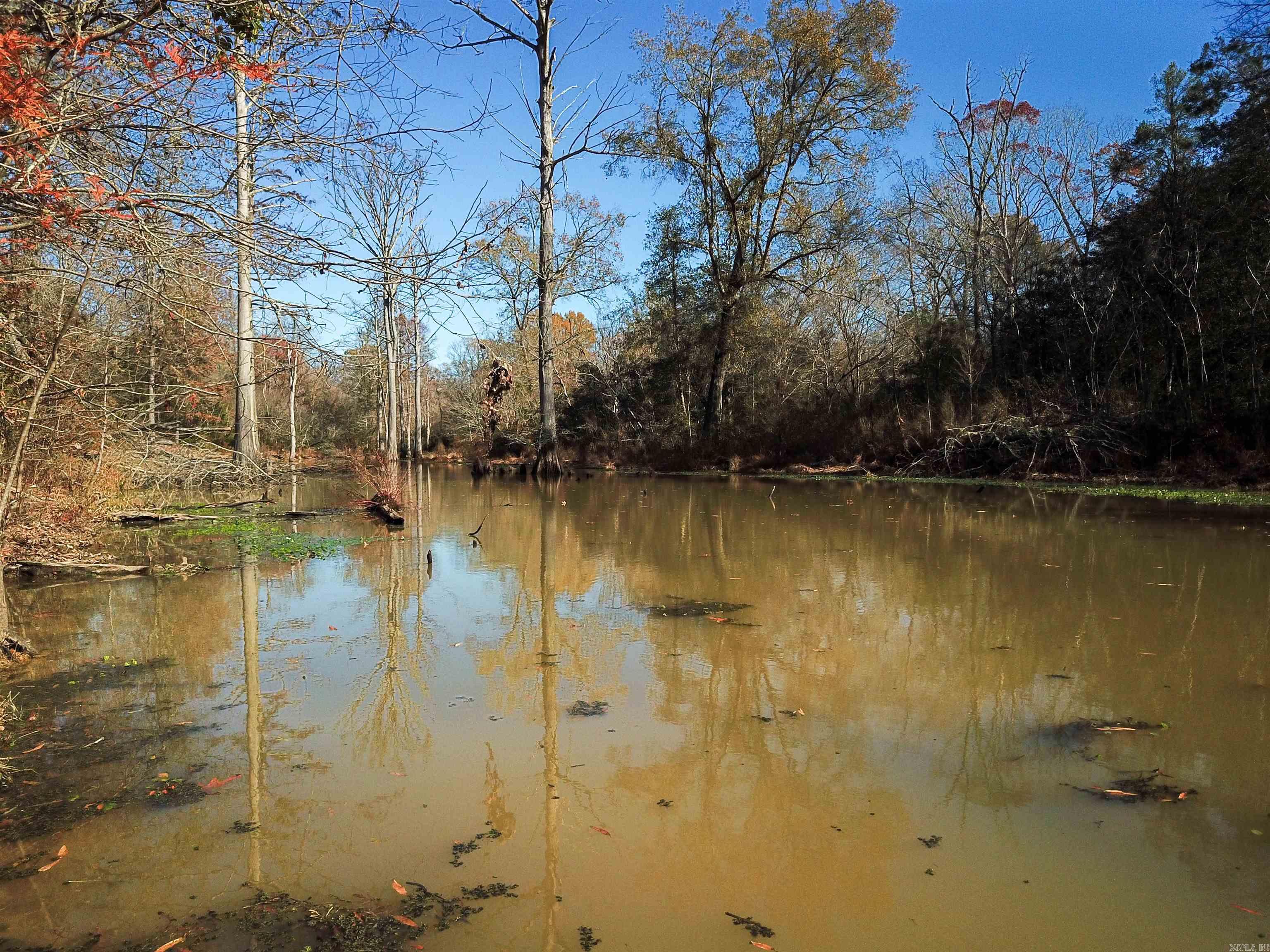 White Oak Slough Road