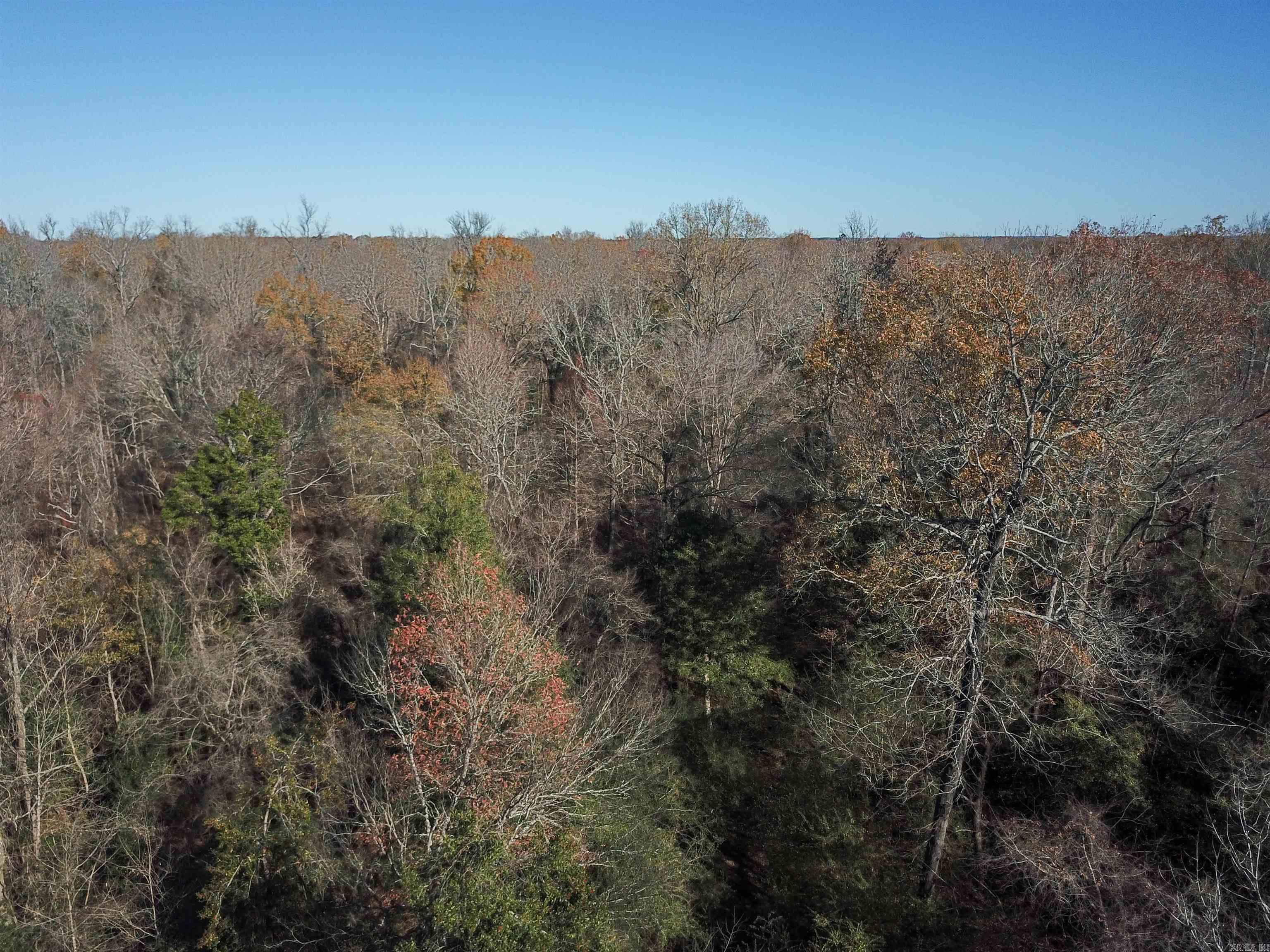 White Oak Slough Road