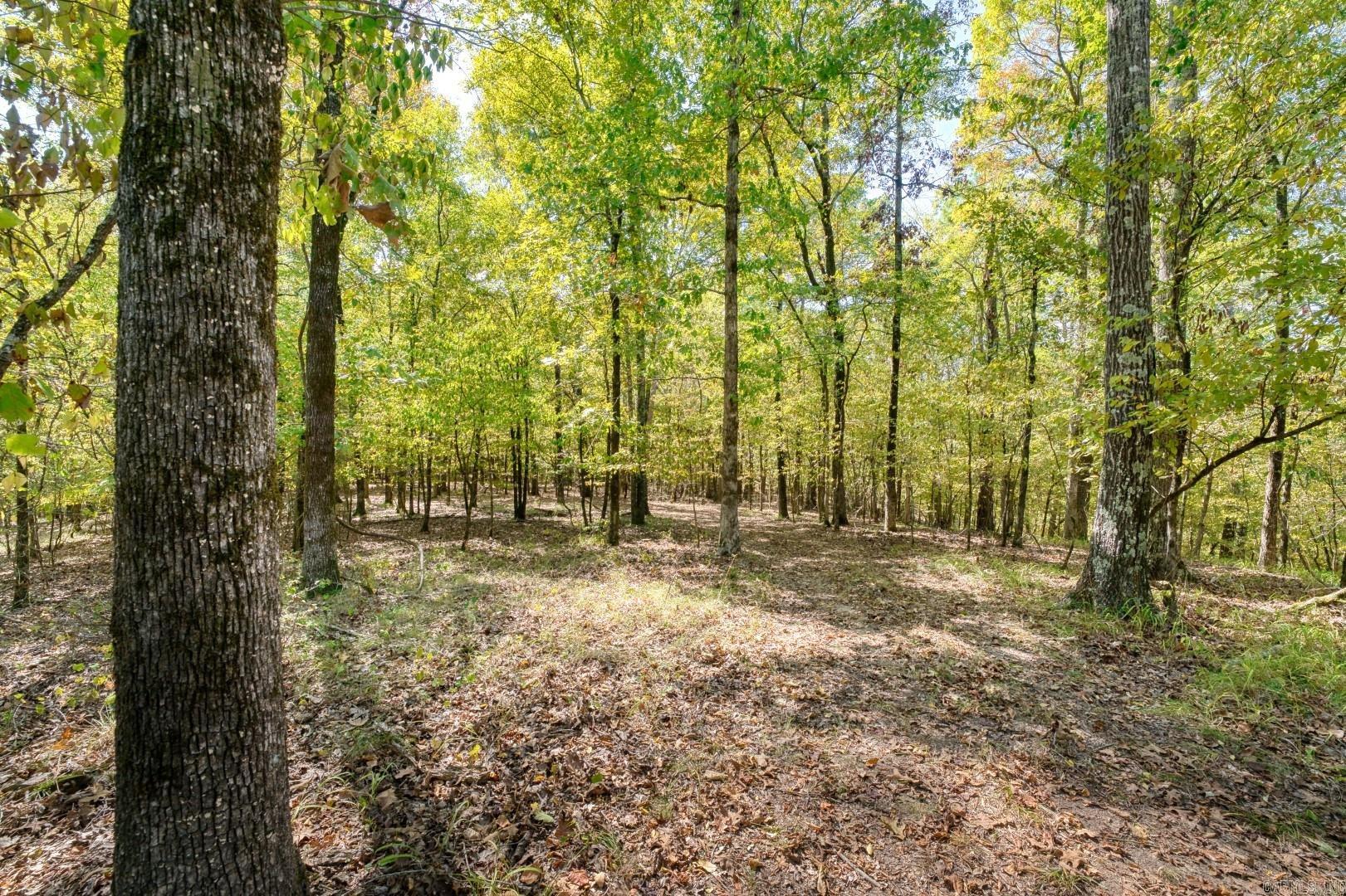 2300 Shady Grove Road