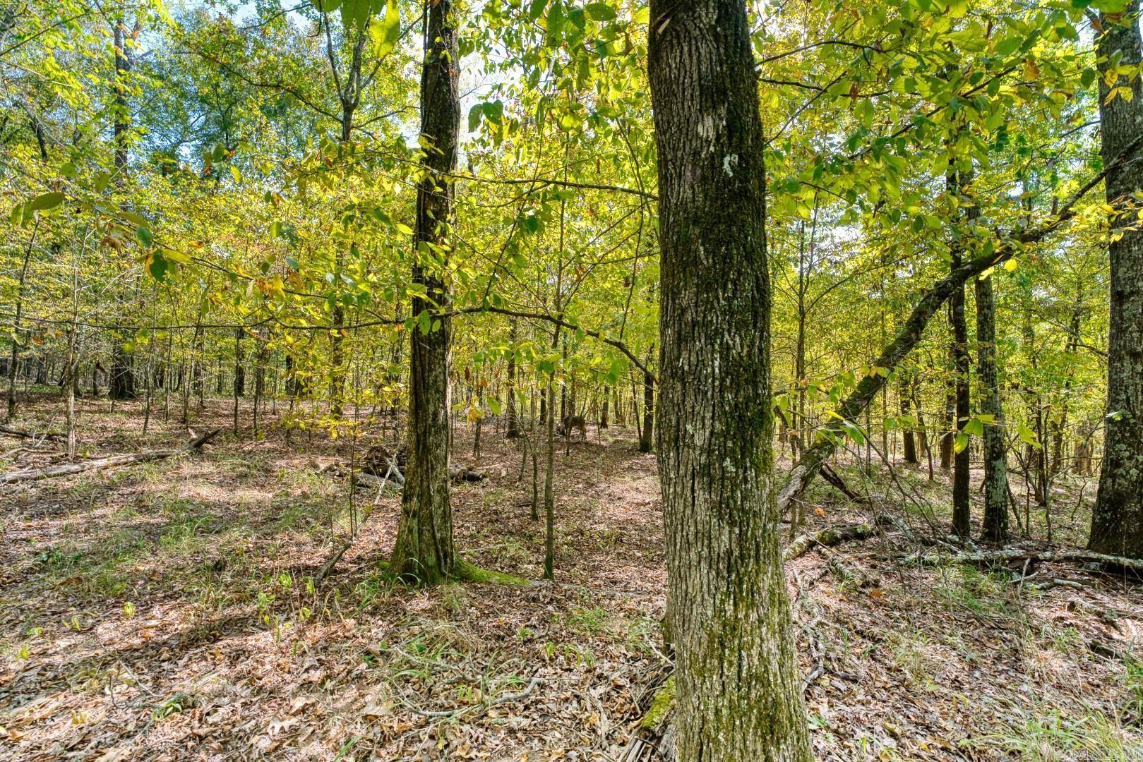 2300 Shady Grove Road