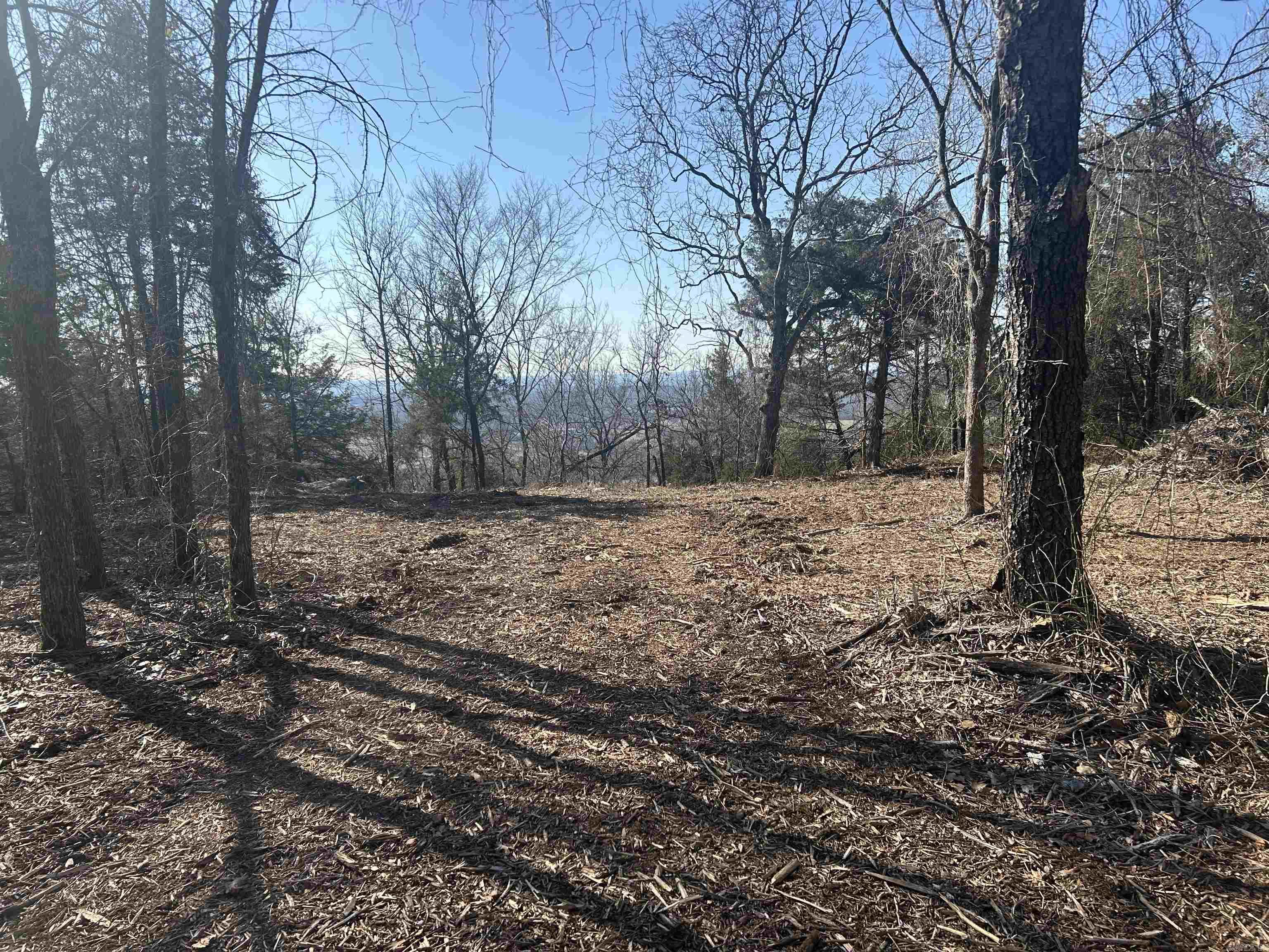 536 Leonard Lane