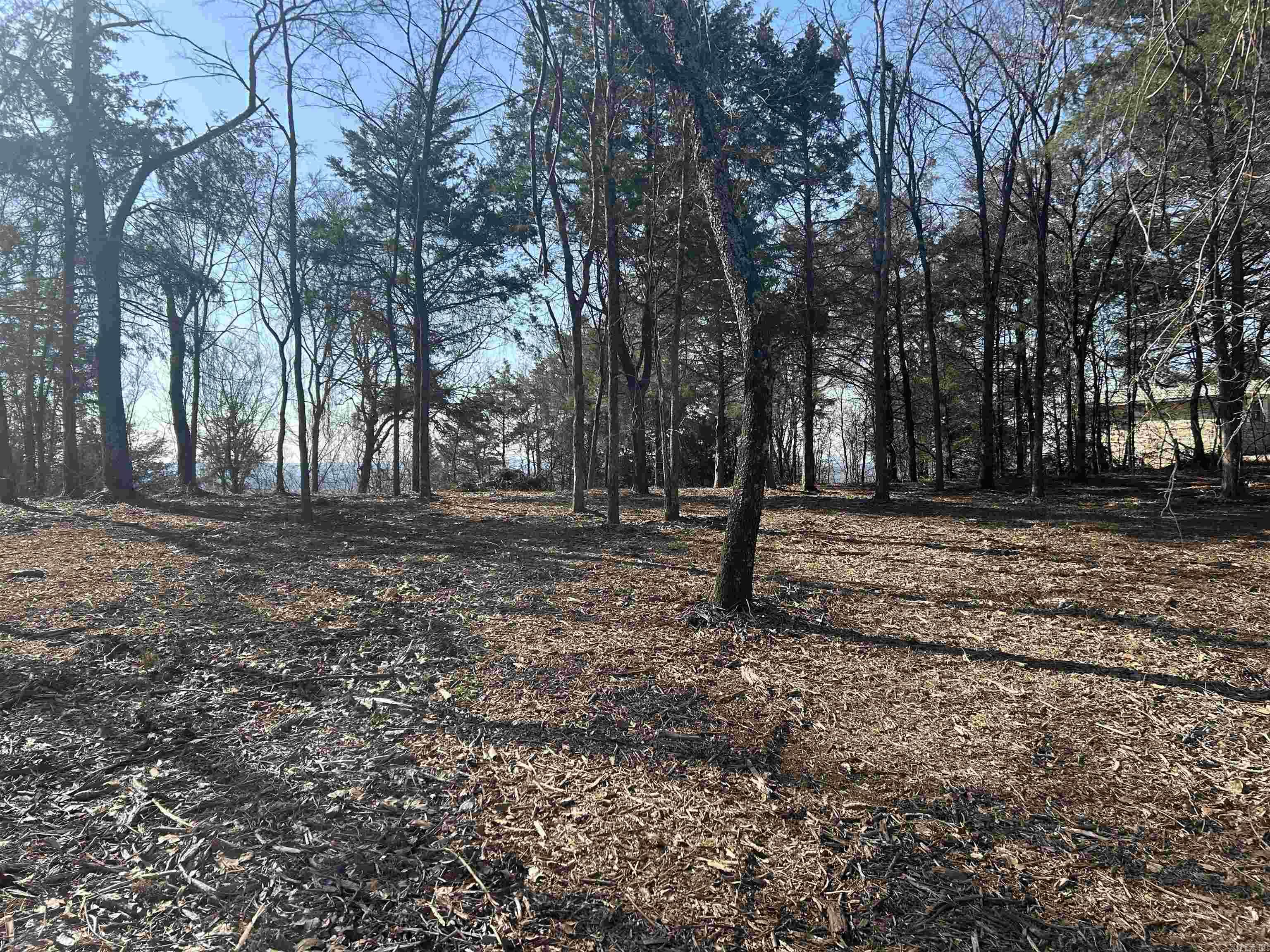 536 Leonard Lane