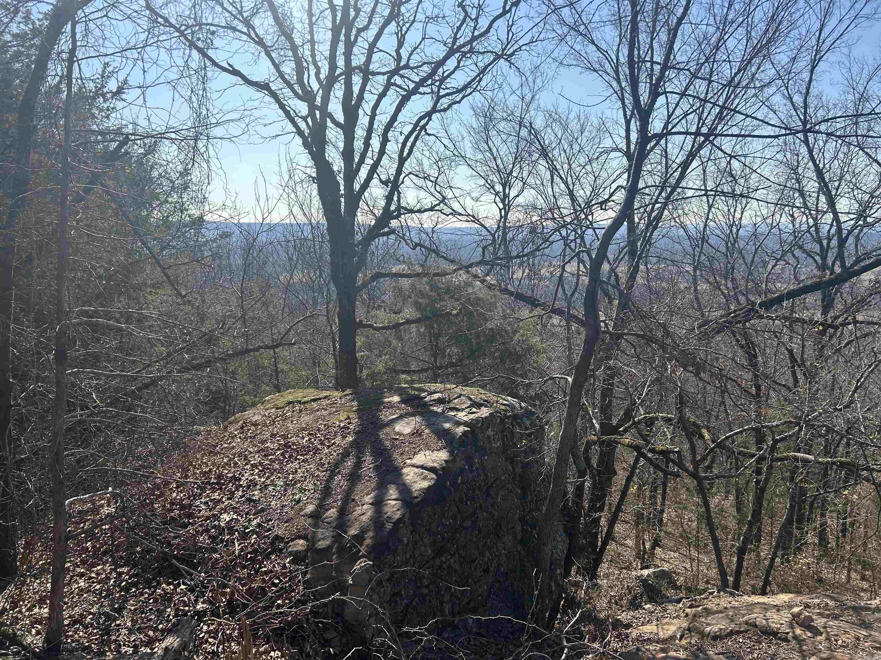 536 Leonard Lane