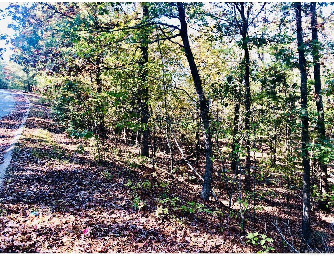 Lot 10 Norfork Drive