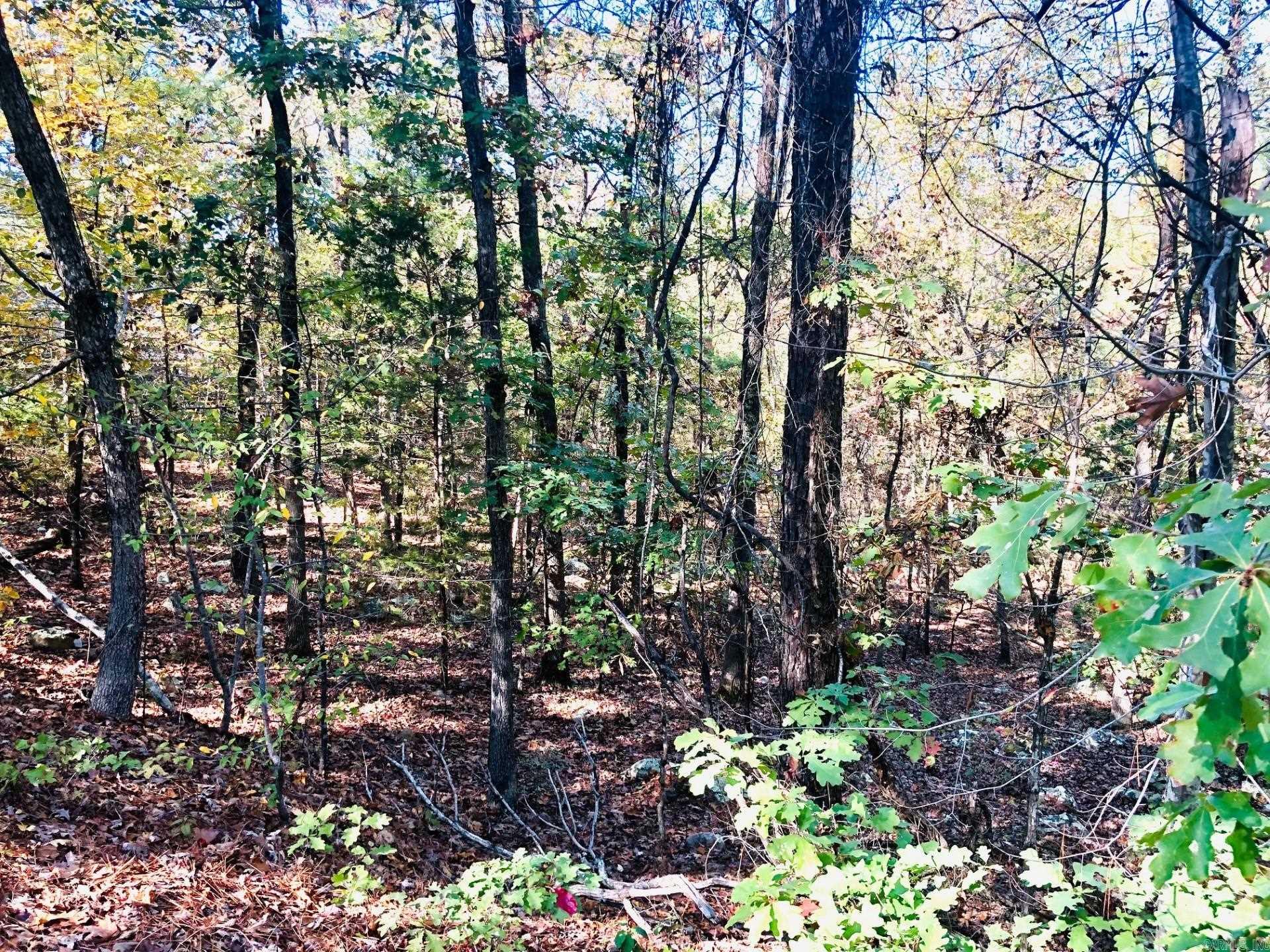 Lot 10 Norfork Drive
