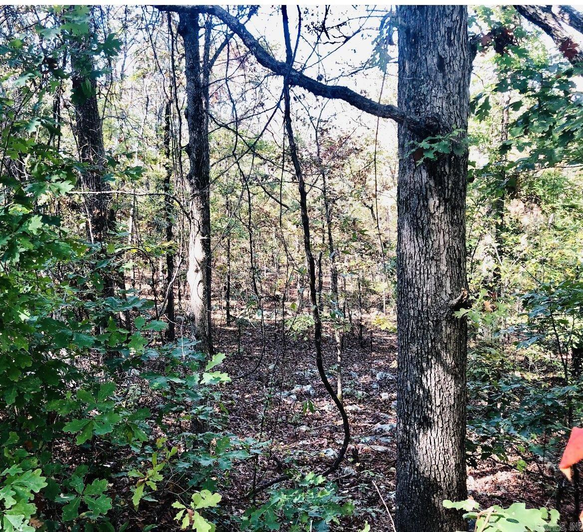 Lot 10 Norfork Drive