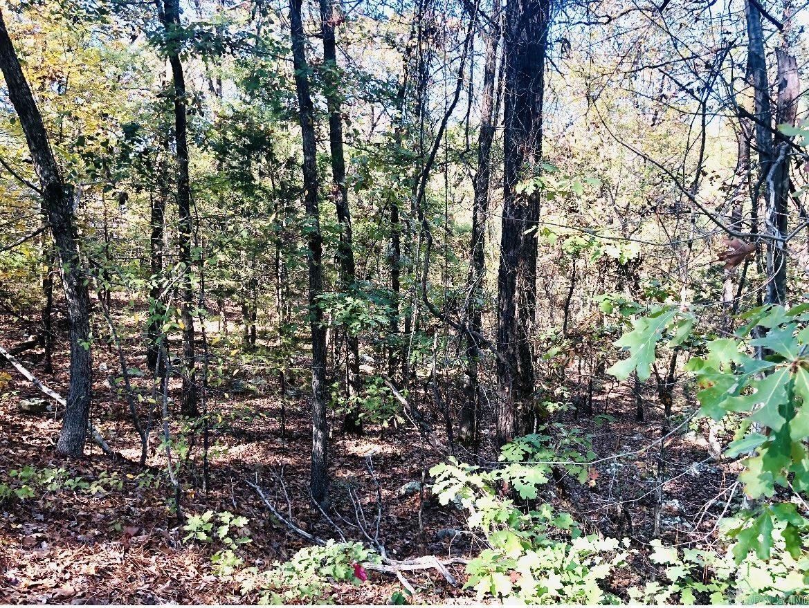 Lot 10 Norfork Drive