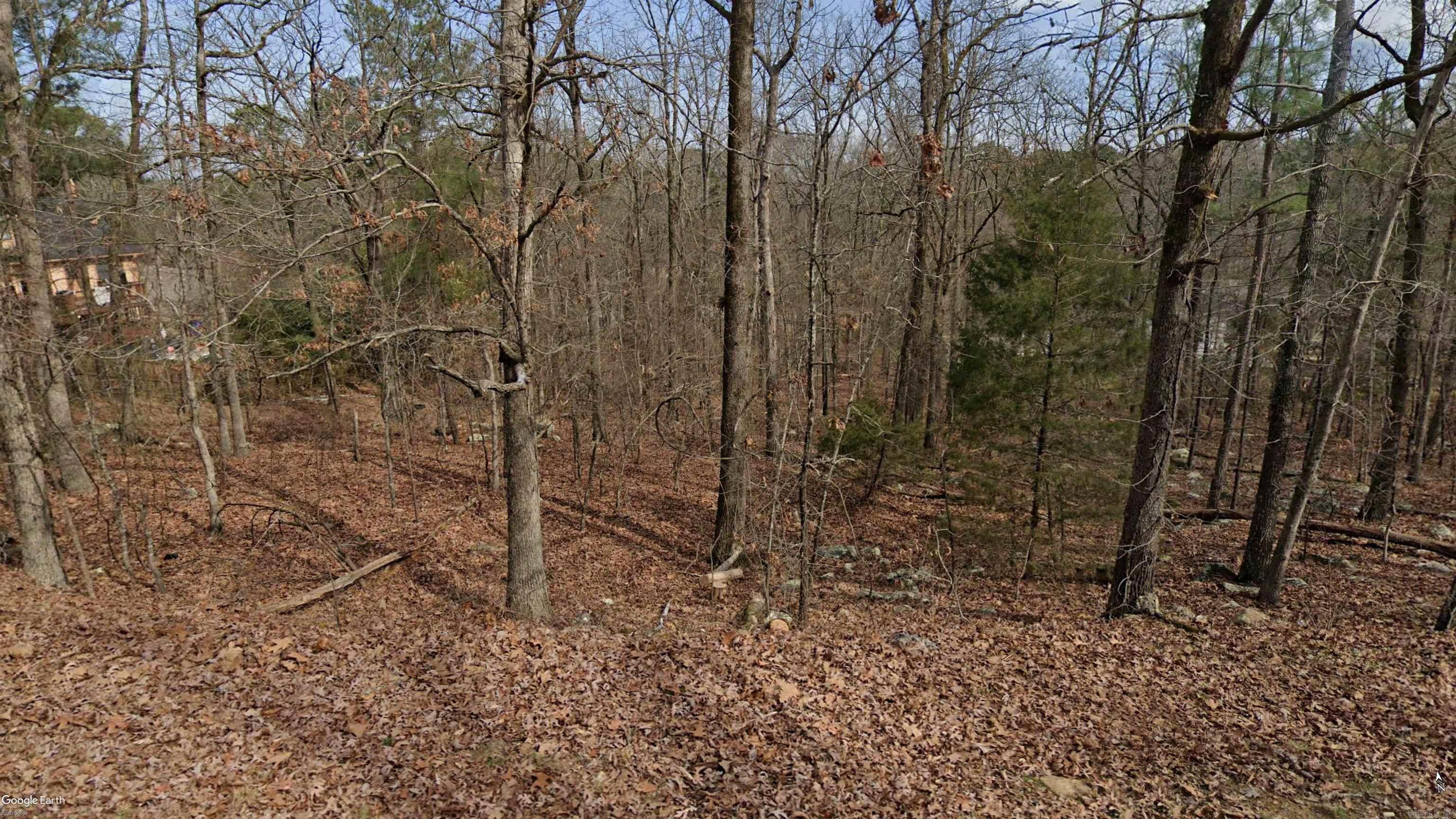 Lot 10 Norfork Drive