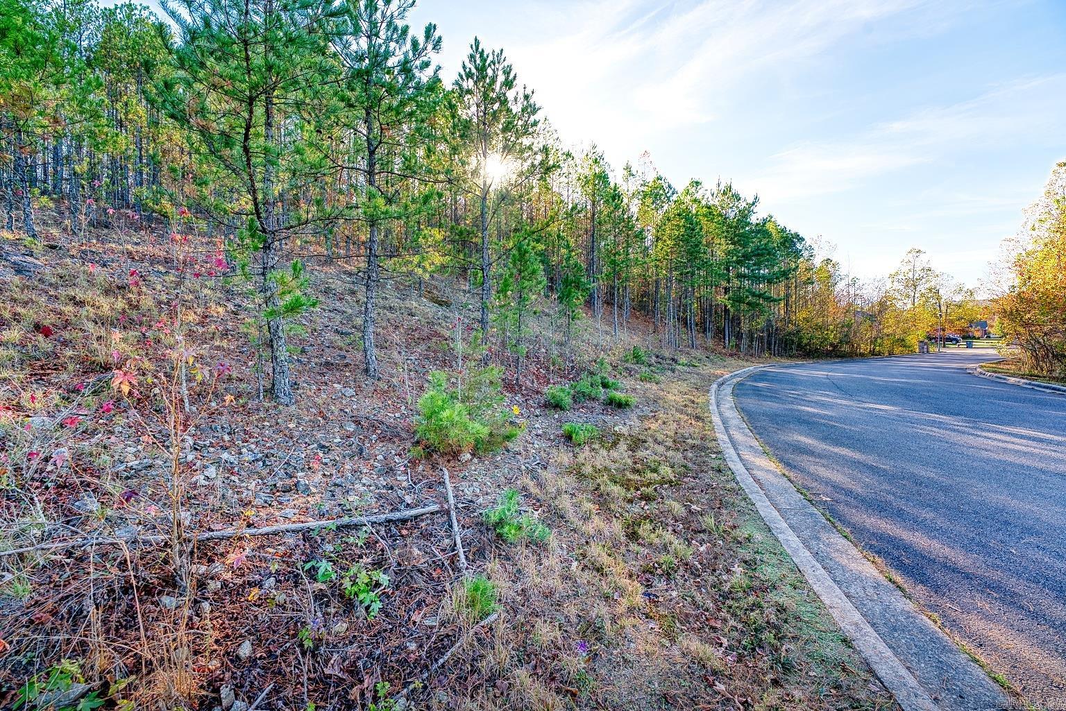 2600 Block Park Avenue Highway Unit: Lot 2R