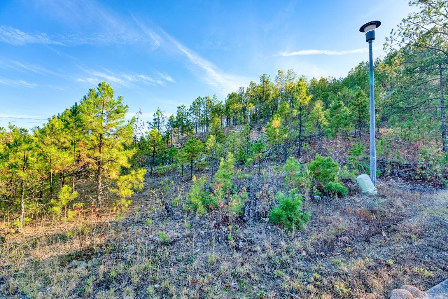 2600 Block Park Avenue Highway Unit: Lot 2R
