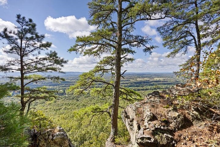 000 Bluff View Dr.