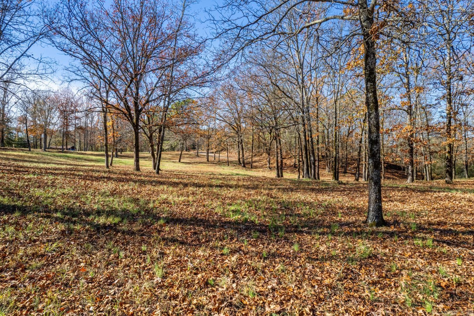 458 Little Mazarn Road