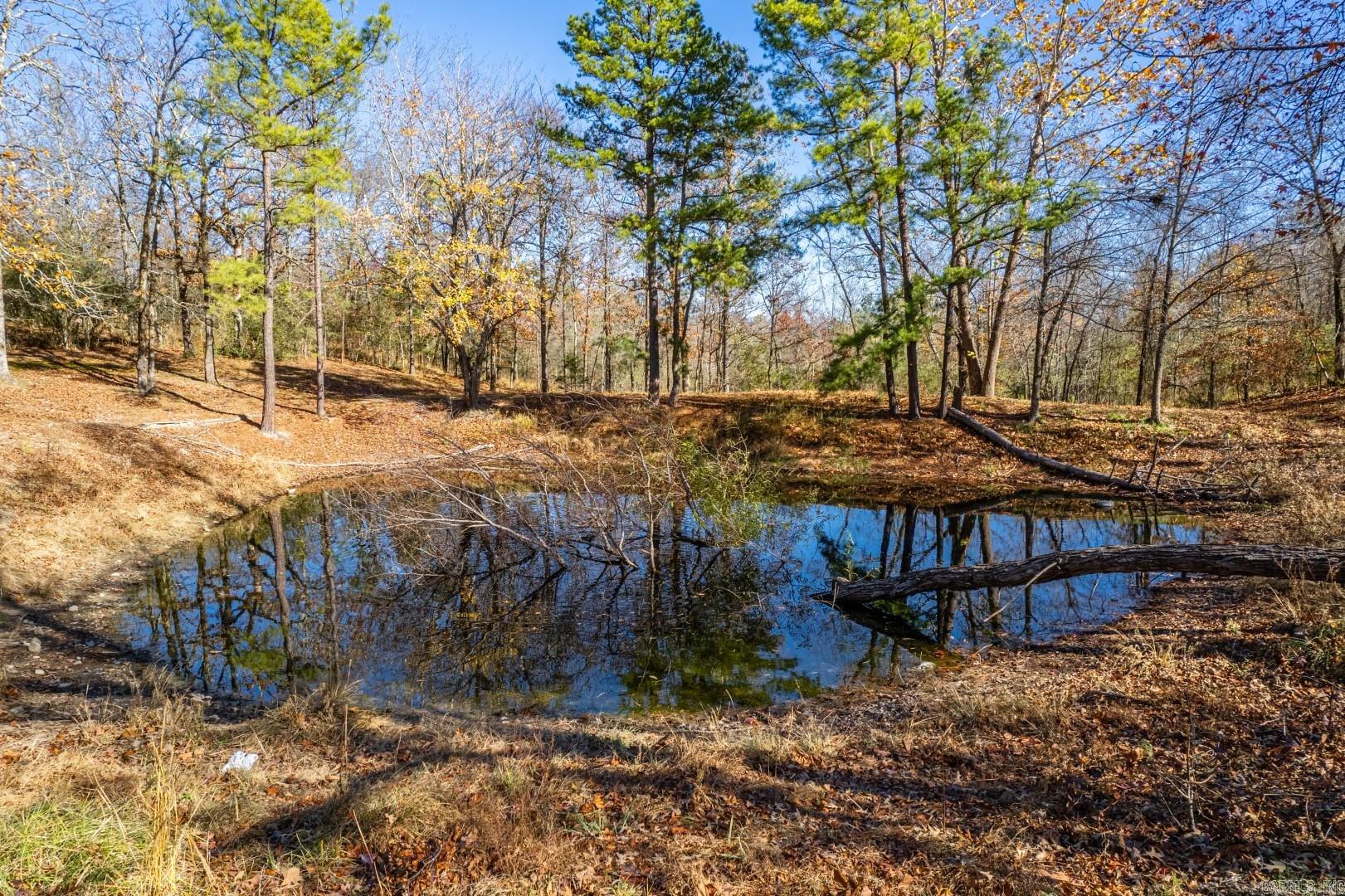 458 Little Mazarn Road