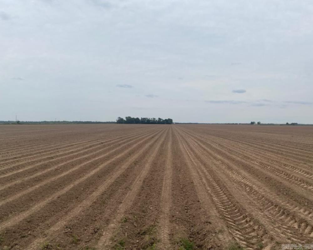 Melton Farm - Whitehead