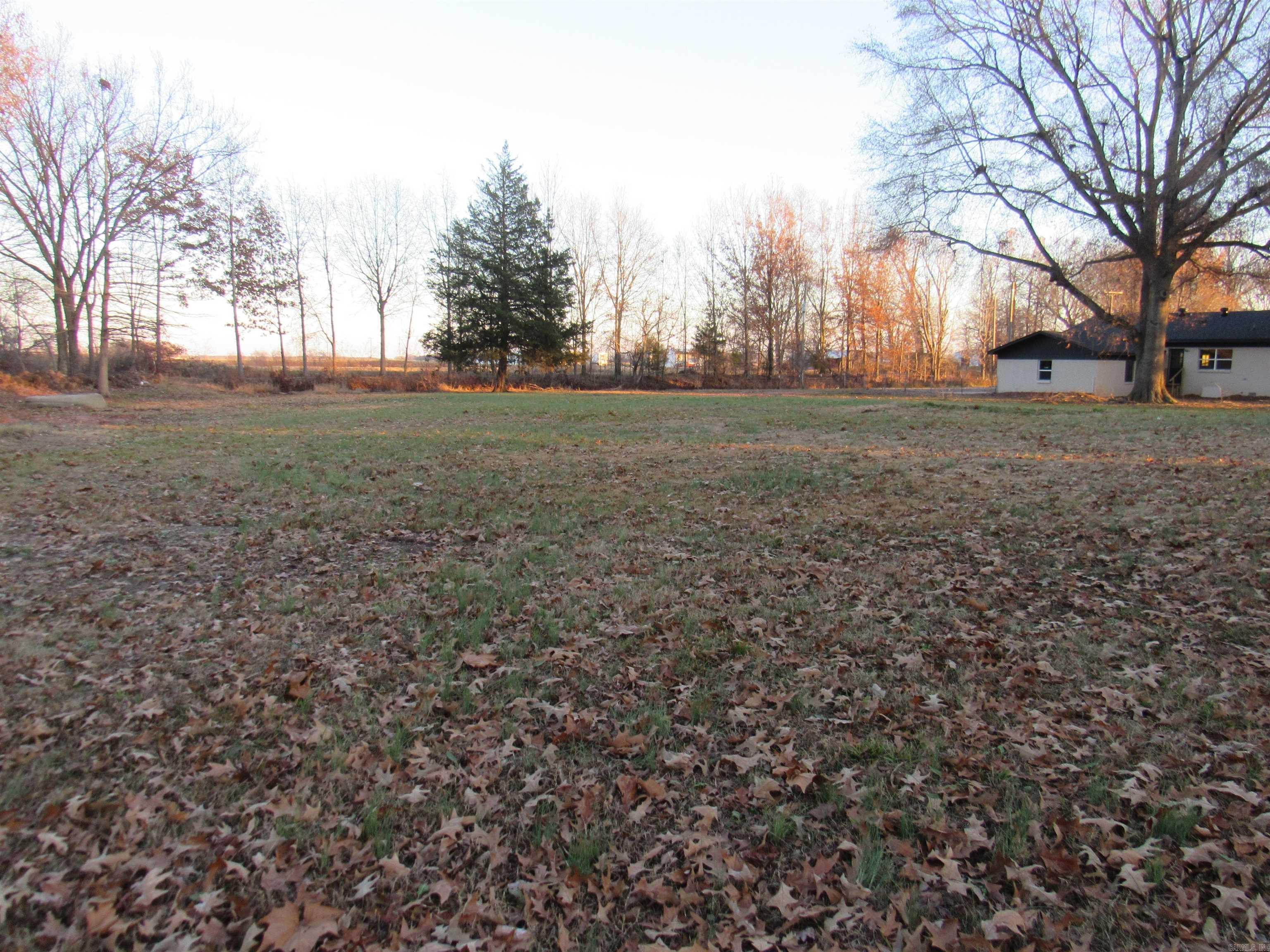 1368 Earl Verser Road