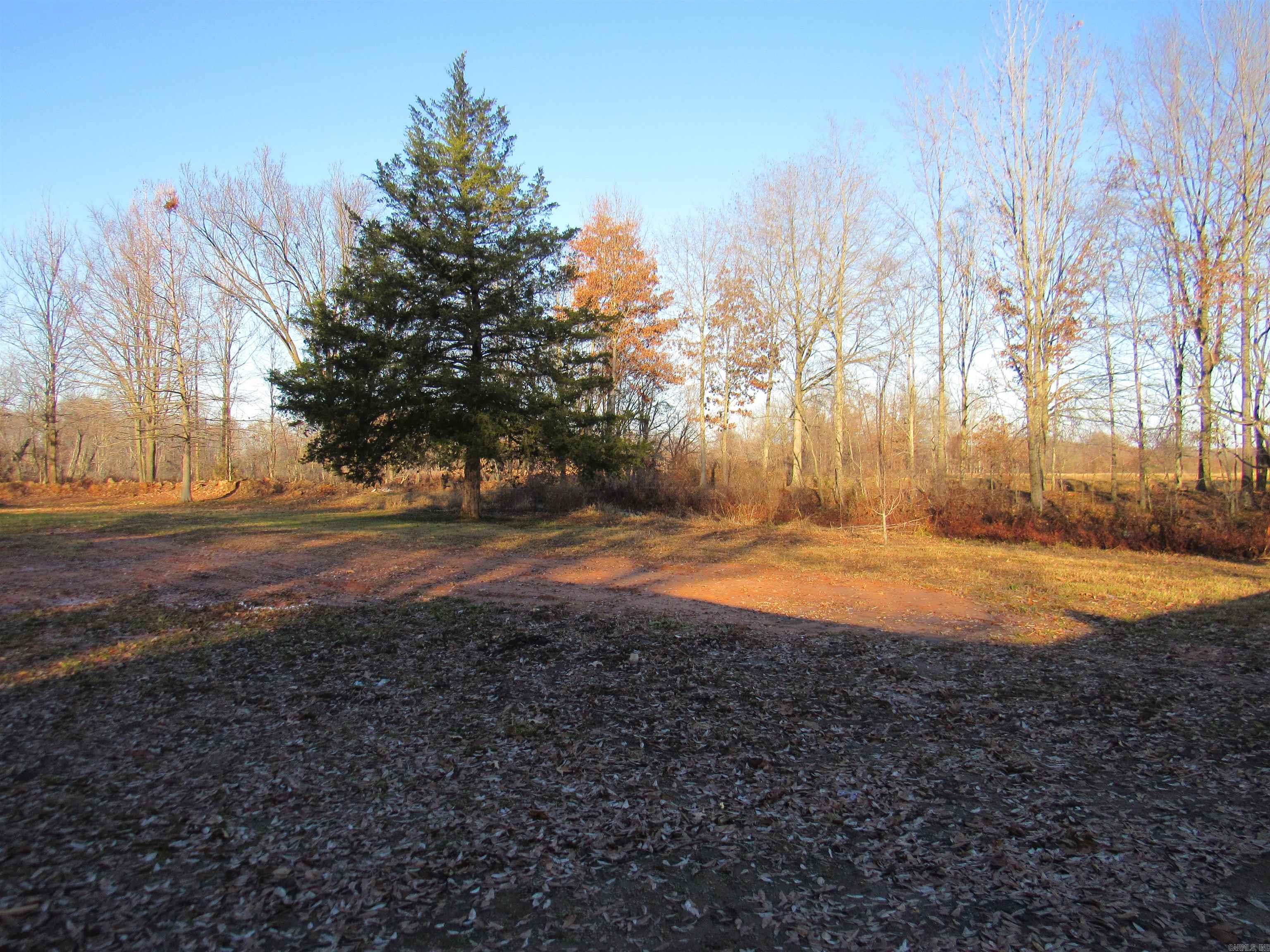 1368 Earl Verser Road