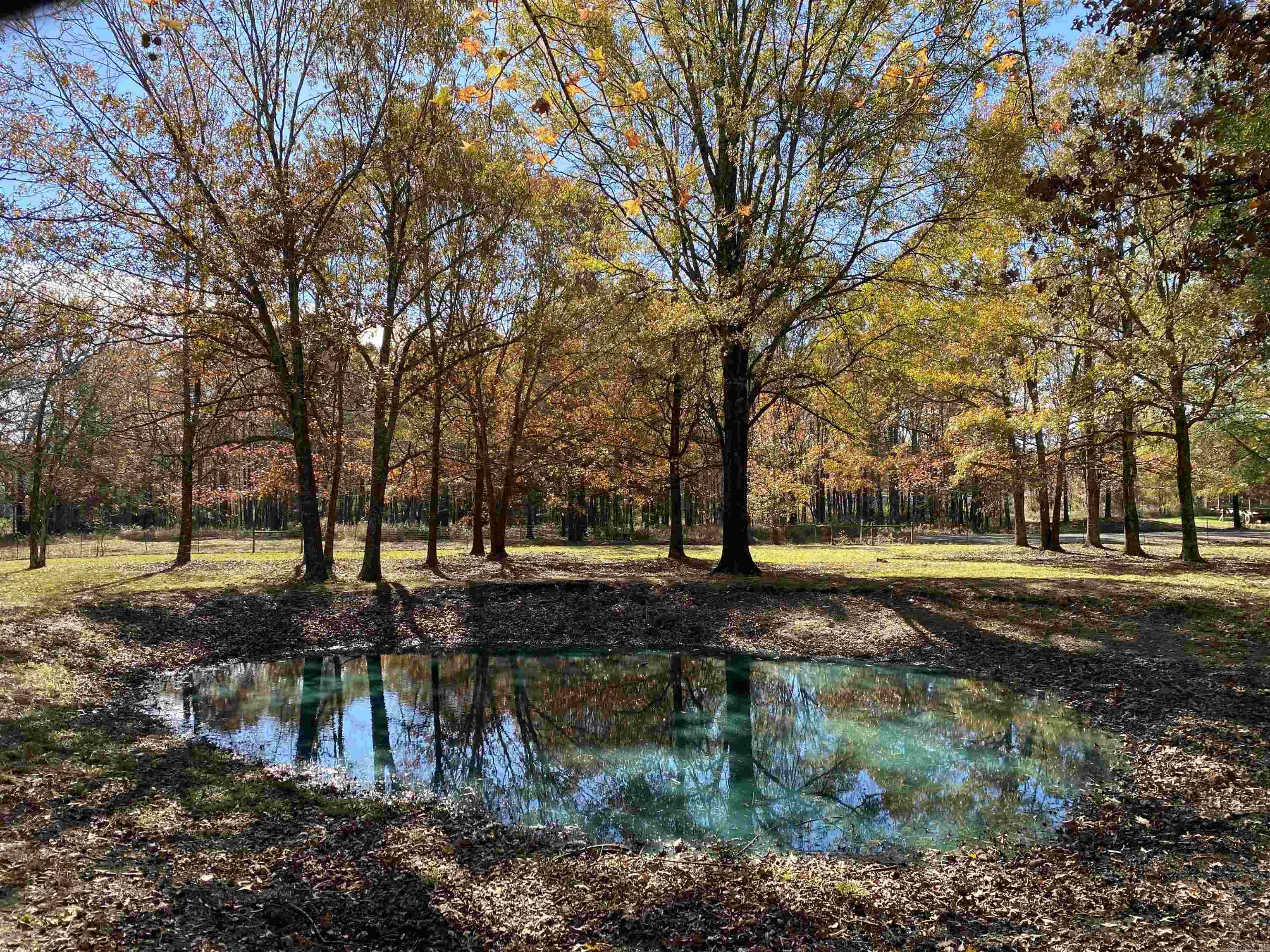 131 Deer Valley Drive