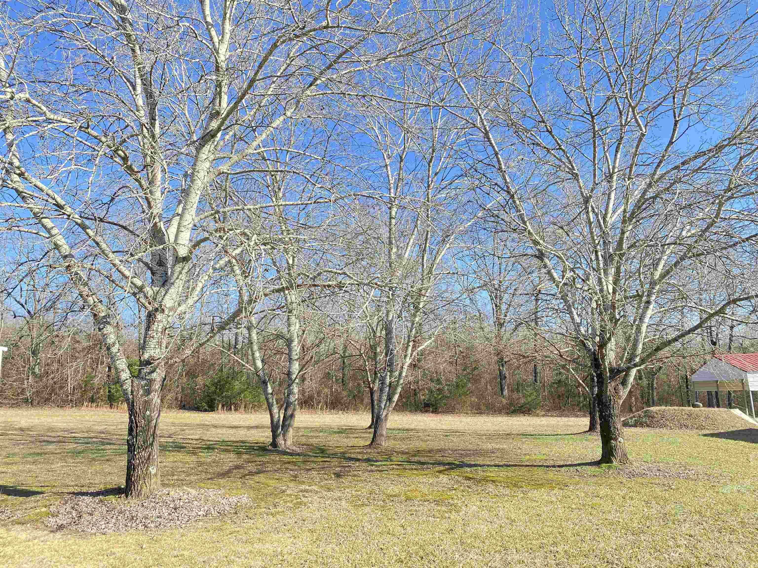 131 Deer Valley Drive