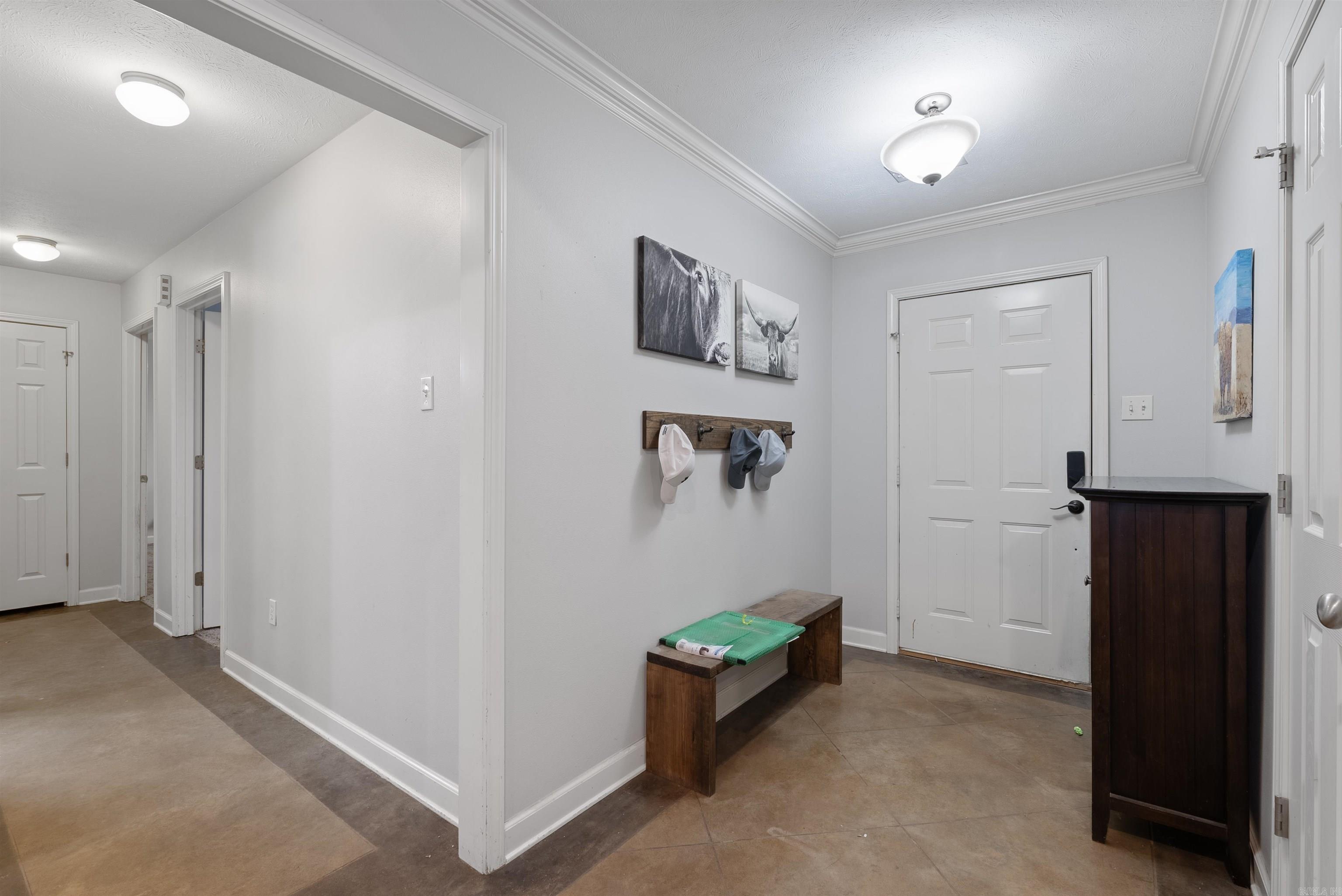 31 Mitchell Circle