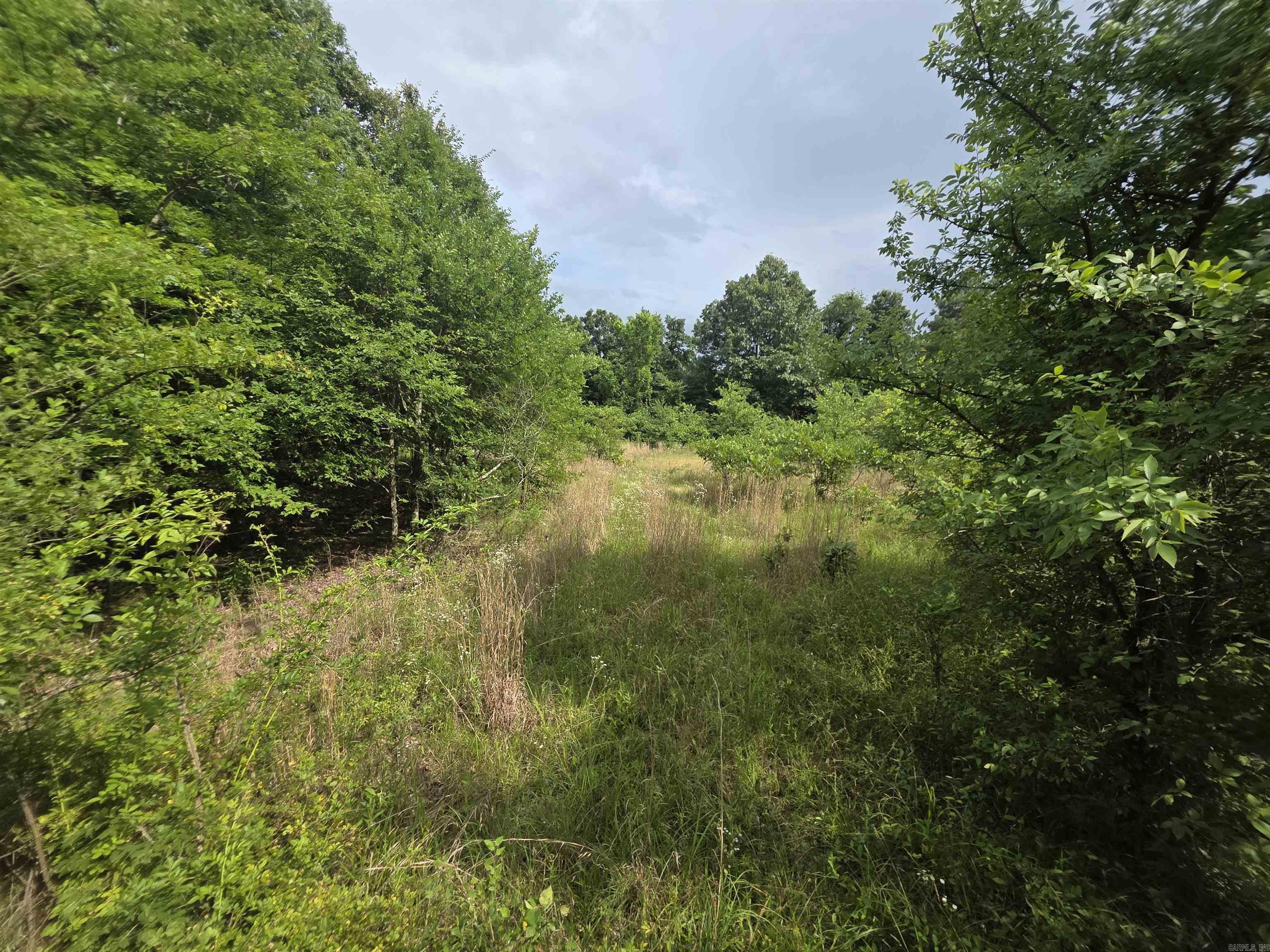 616 County Road 417 Road