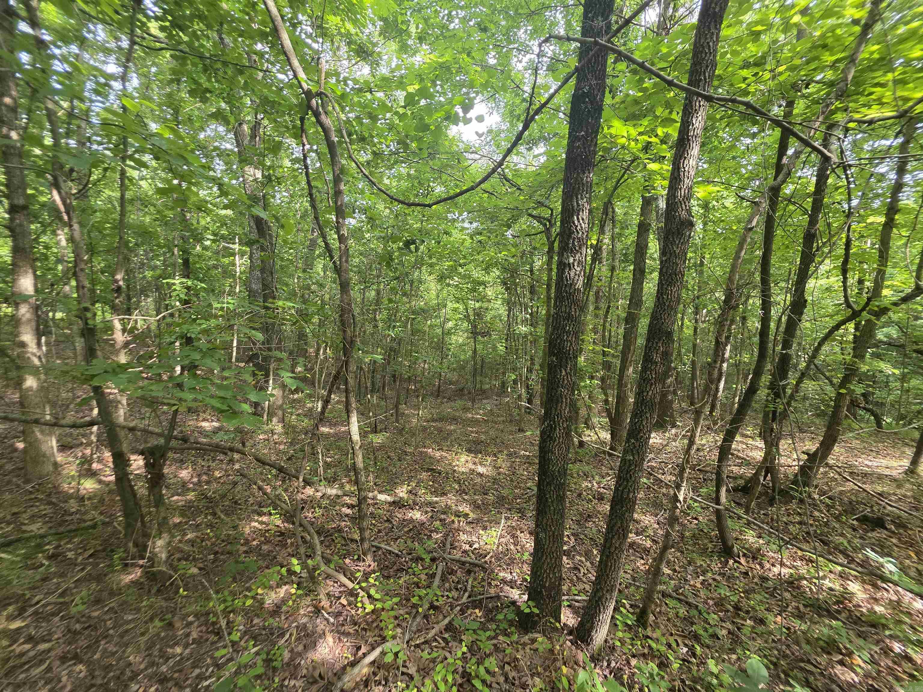 616 County Road 417 Road