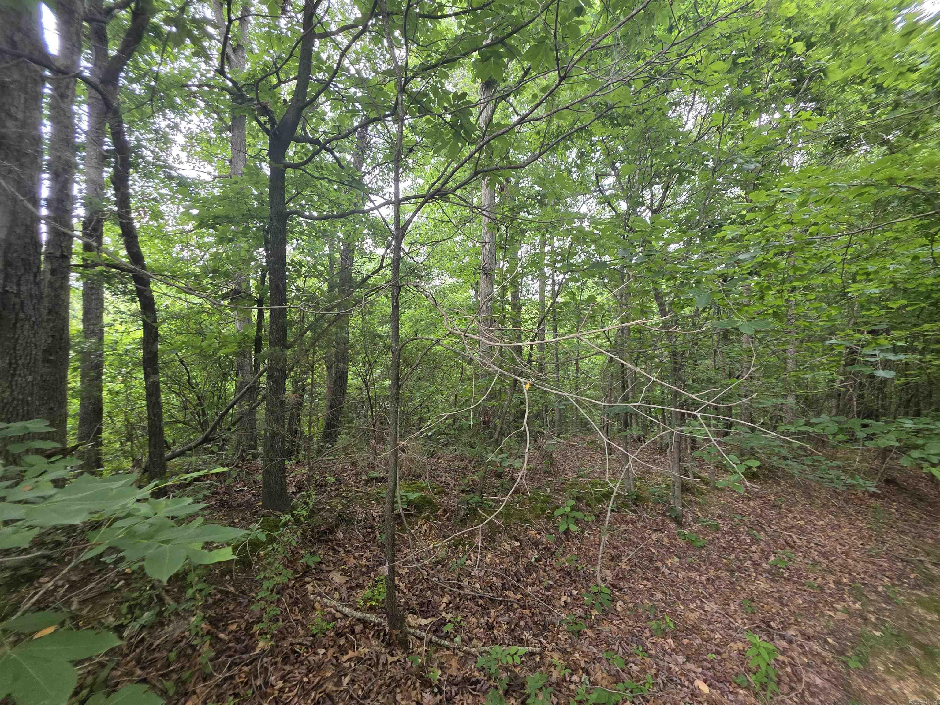 616 County Road 417 Road