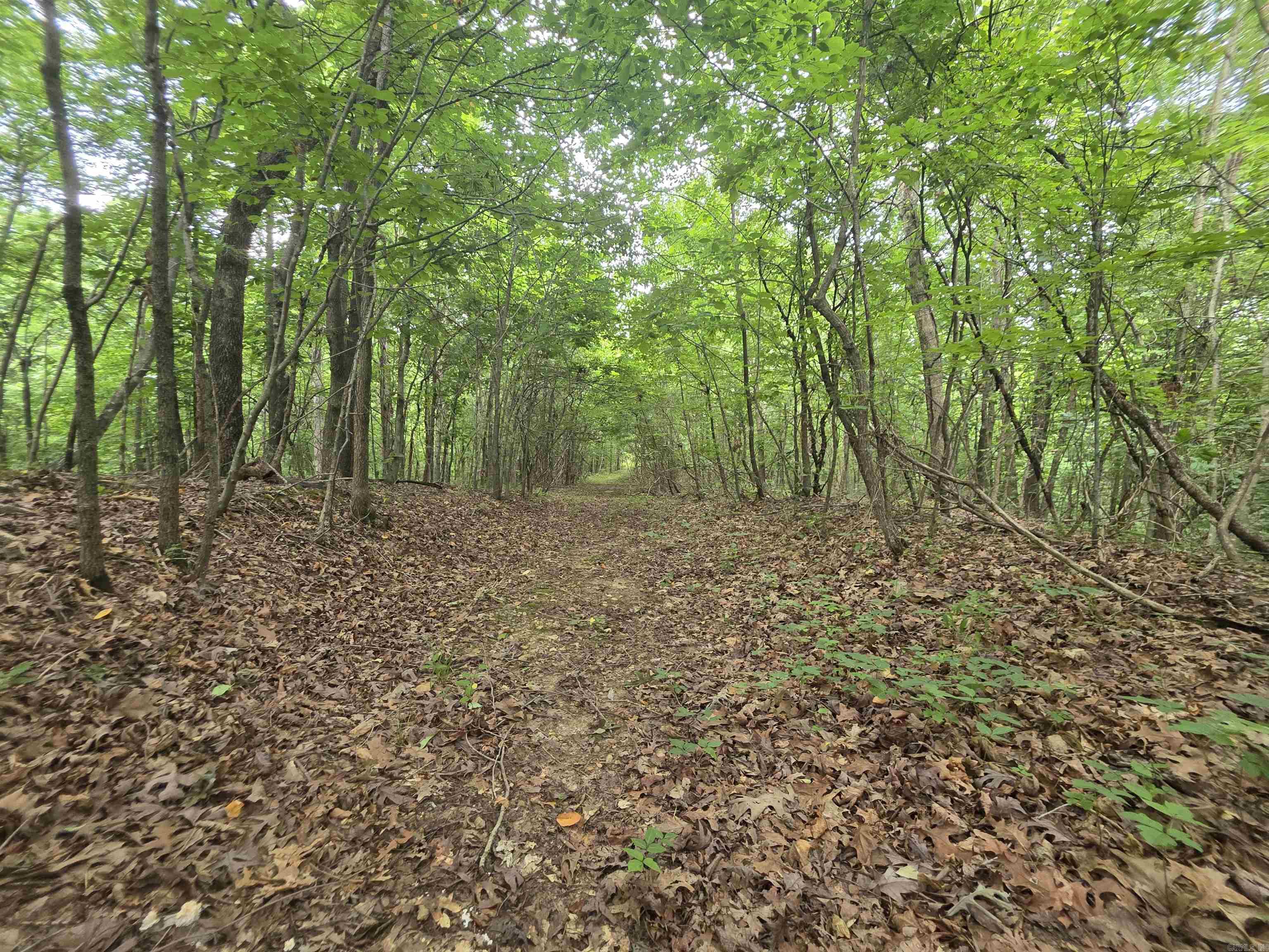 616 County Road 417 Road