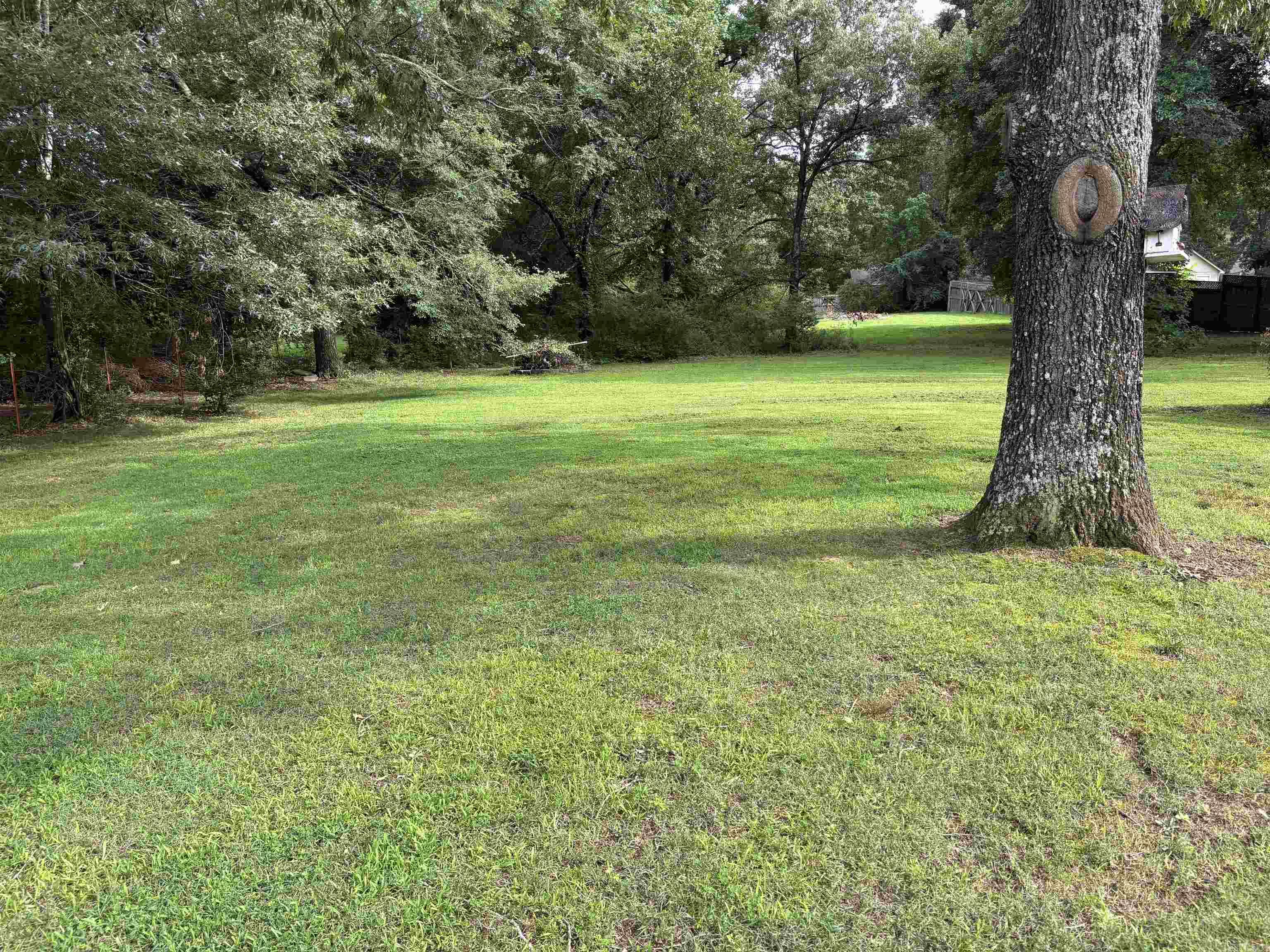 104 E Courtney Cove