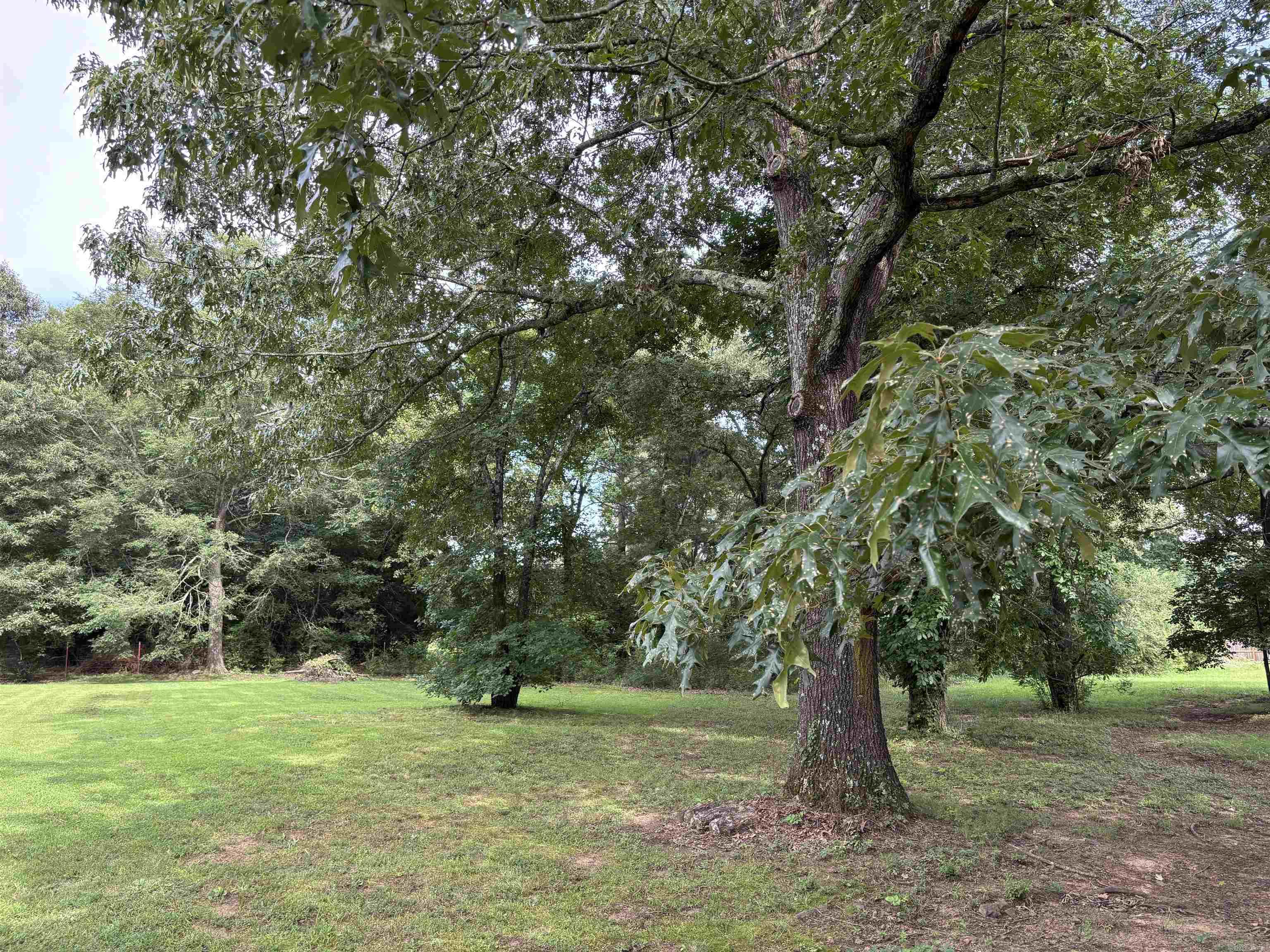 104 E Courtney Cove