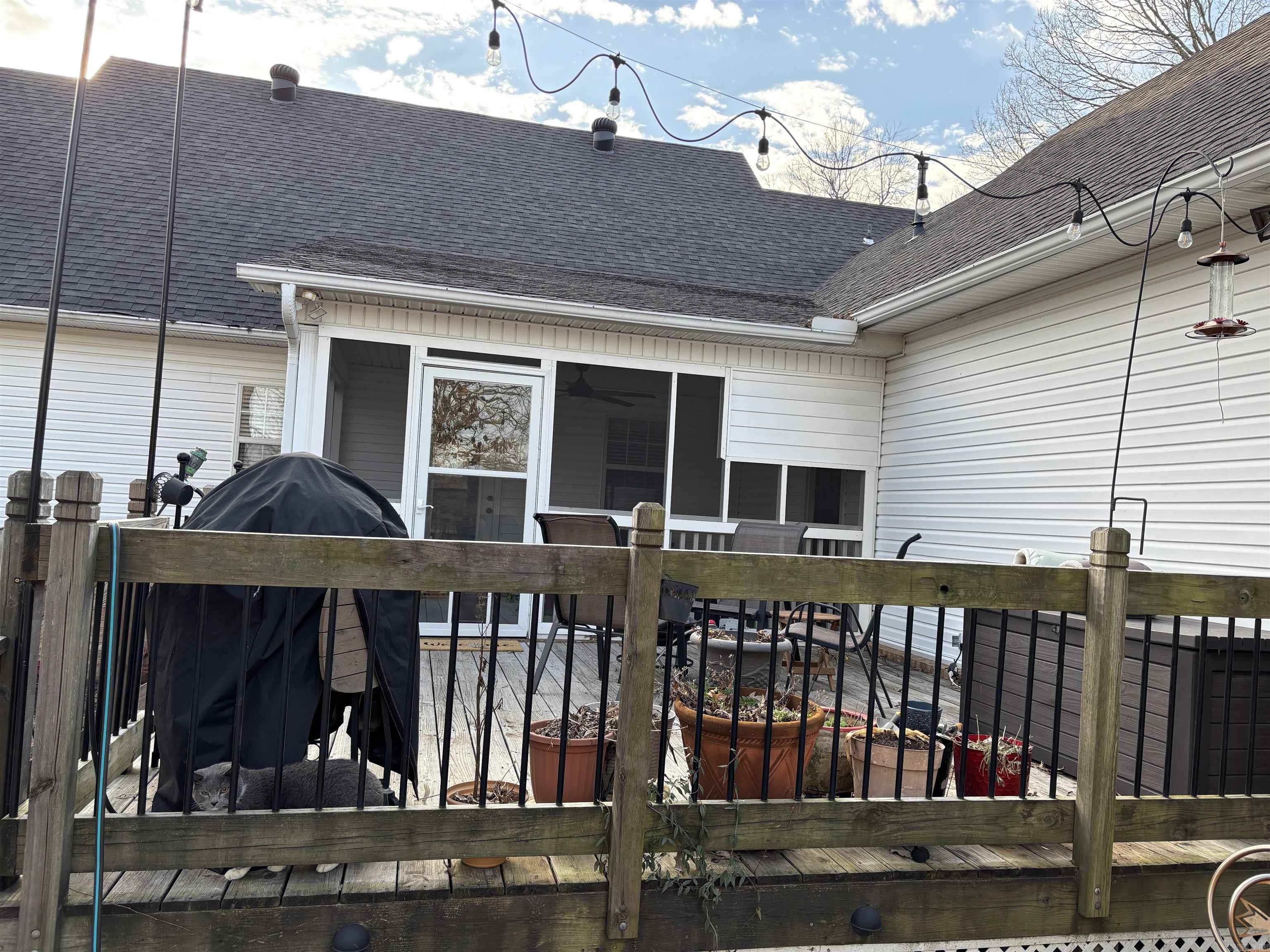 104 E Courtney Cove
