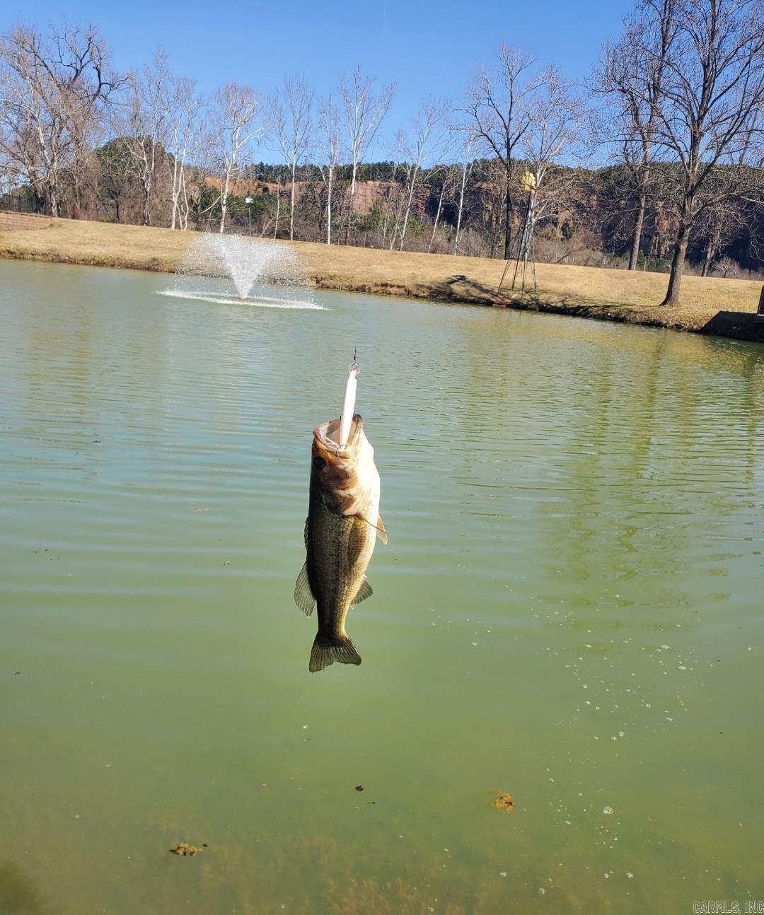 2512 Riverfront Drive Unit 2