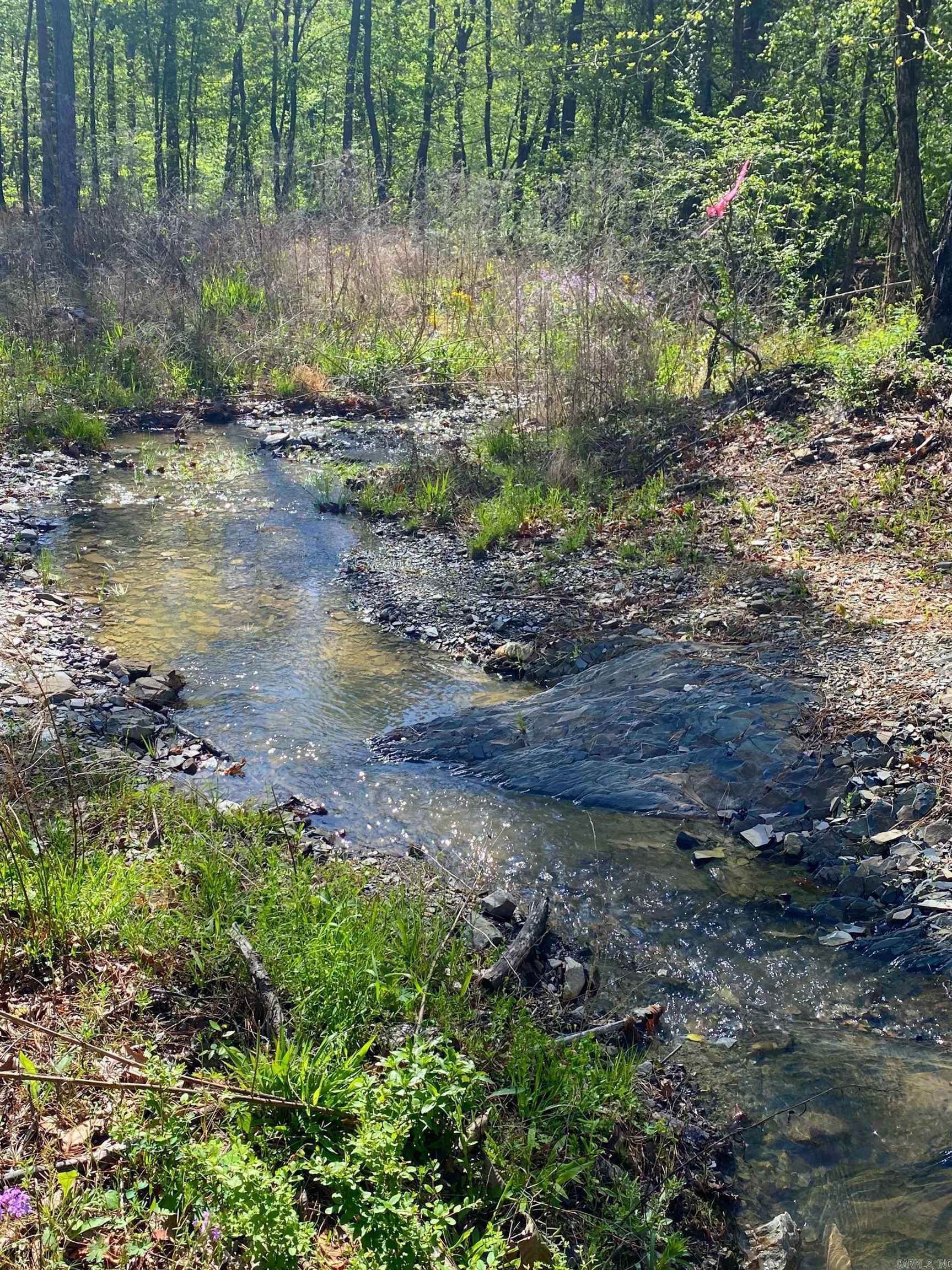 TBD Tract 1 Cedar Creek Road