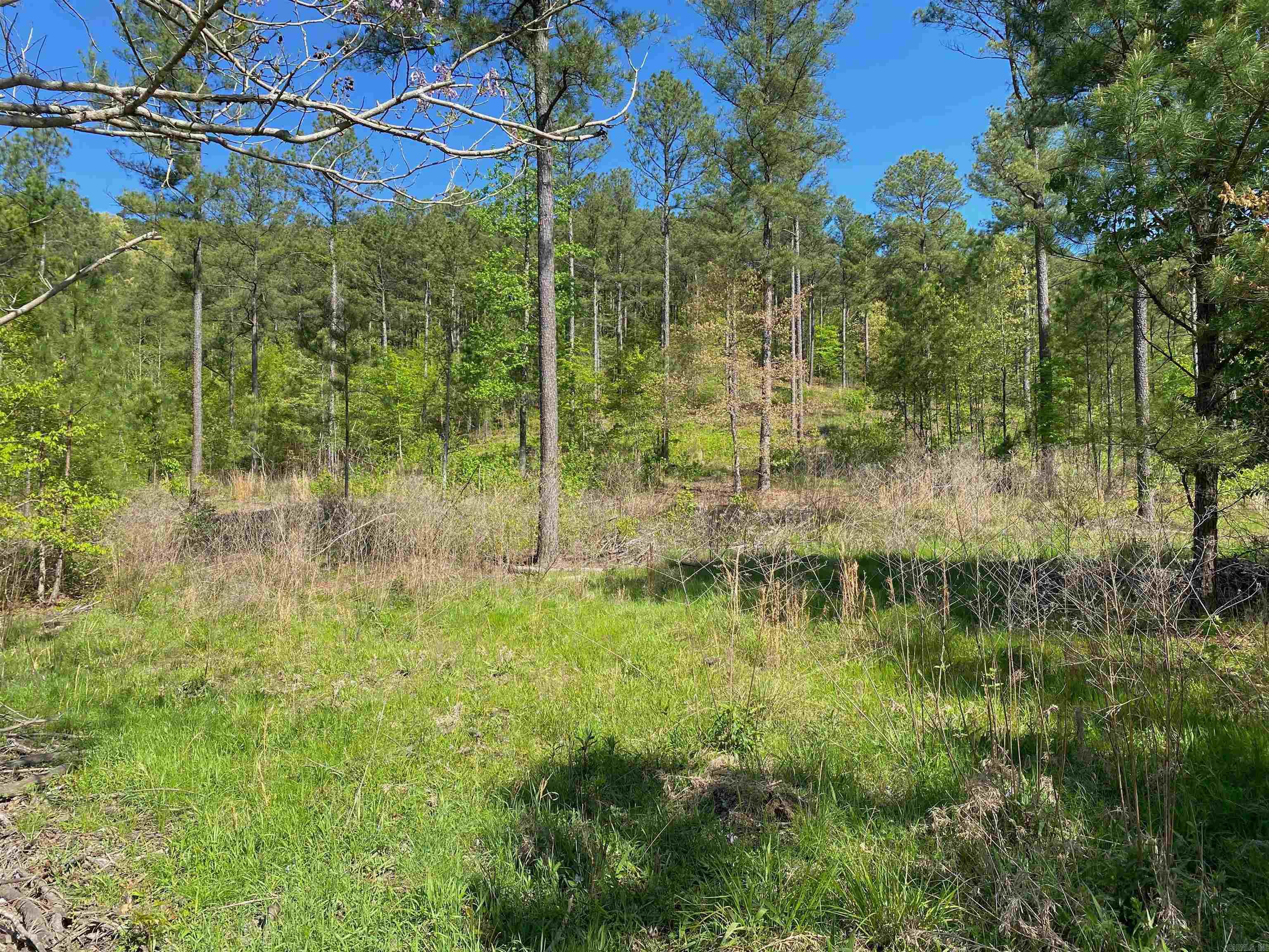 TBD Tract 1 Cedar Creek Road