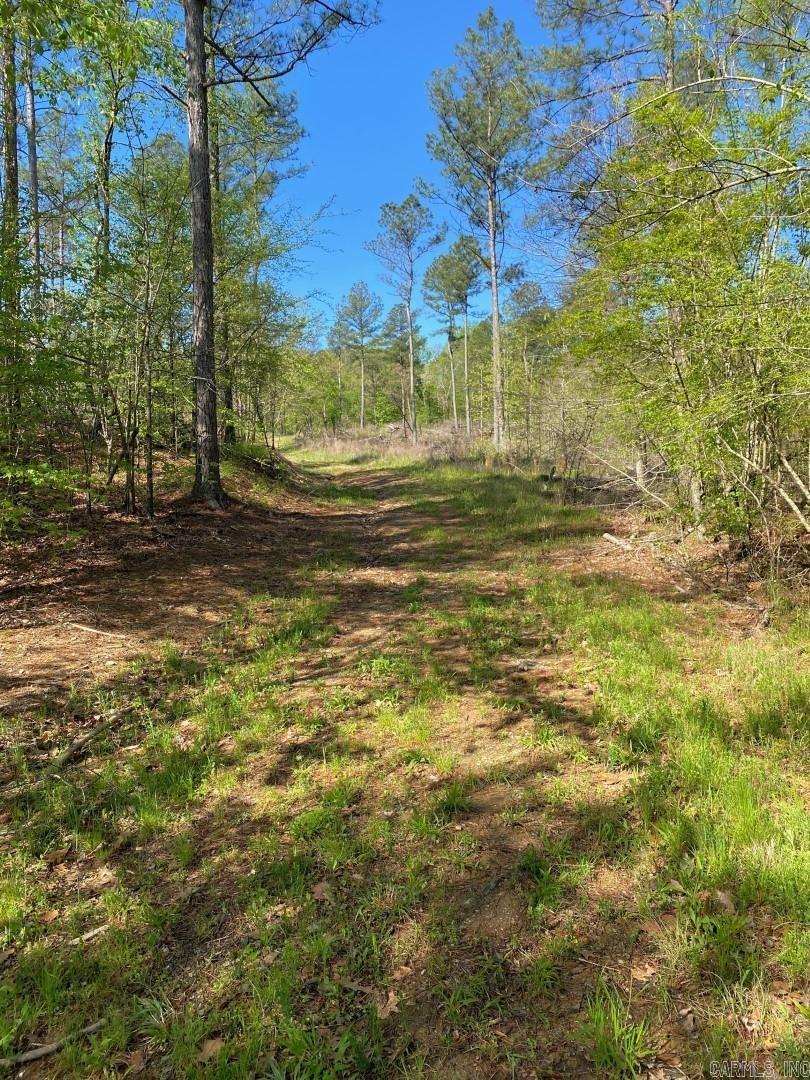 TBD Tract 2 Cedar Creek Road