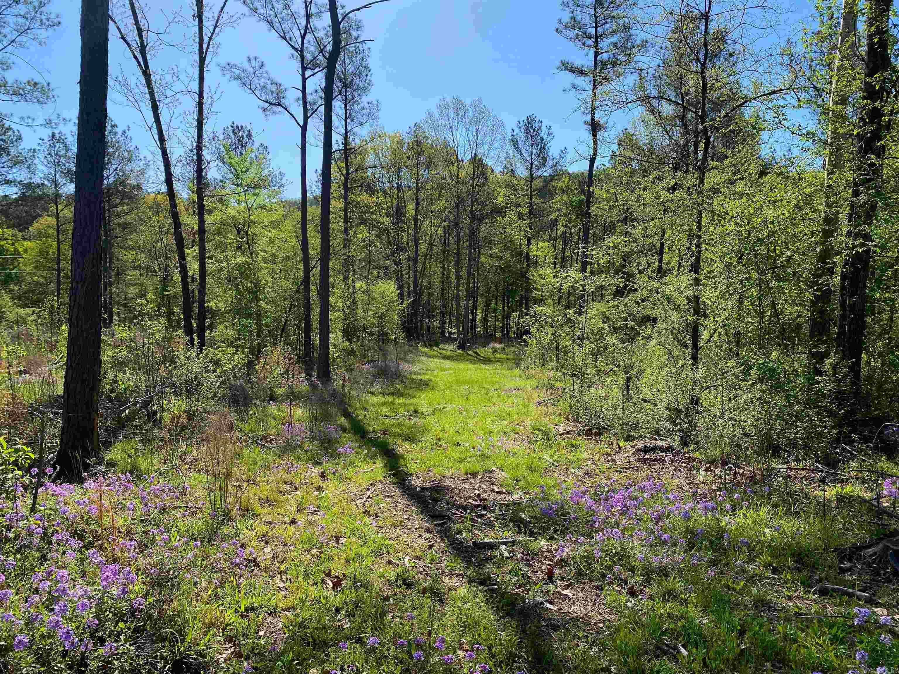 TBD Tract 2 Cedar Creek Road