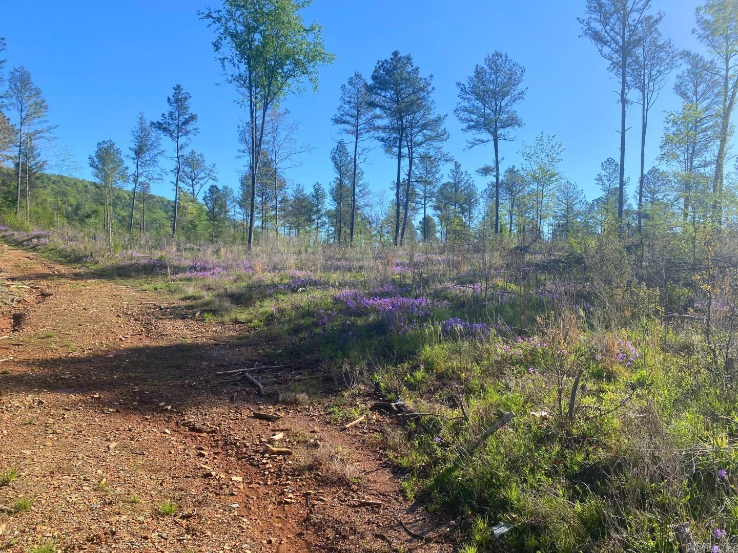 TBD Tract 3 Cedar Creek Road