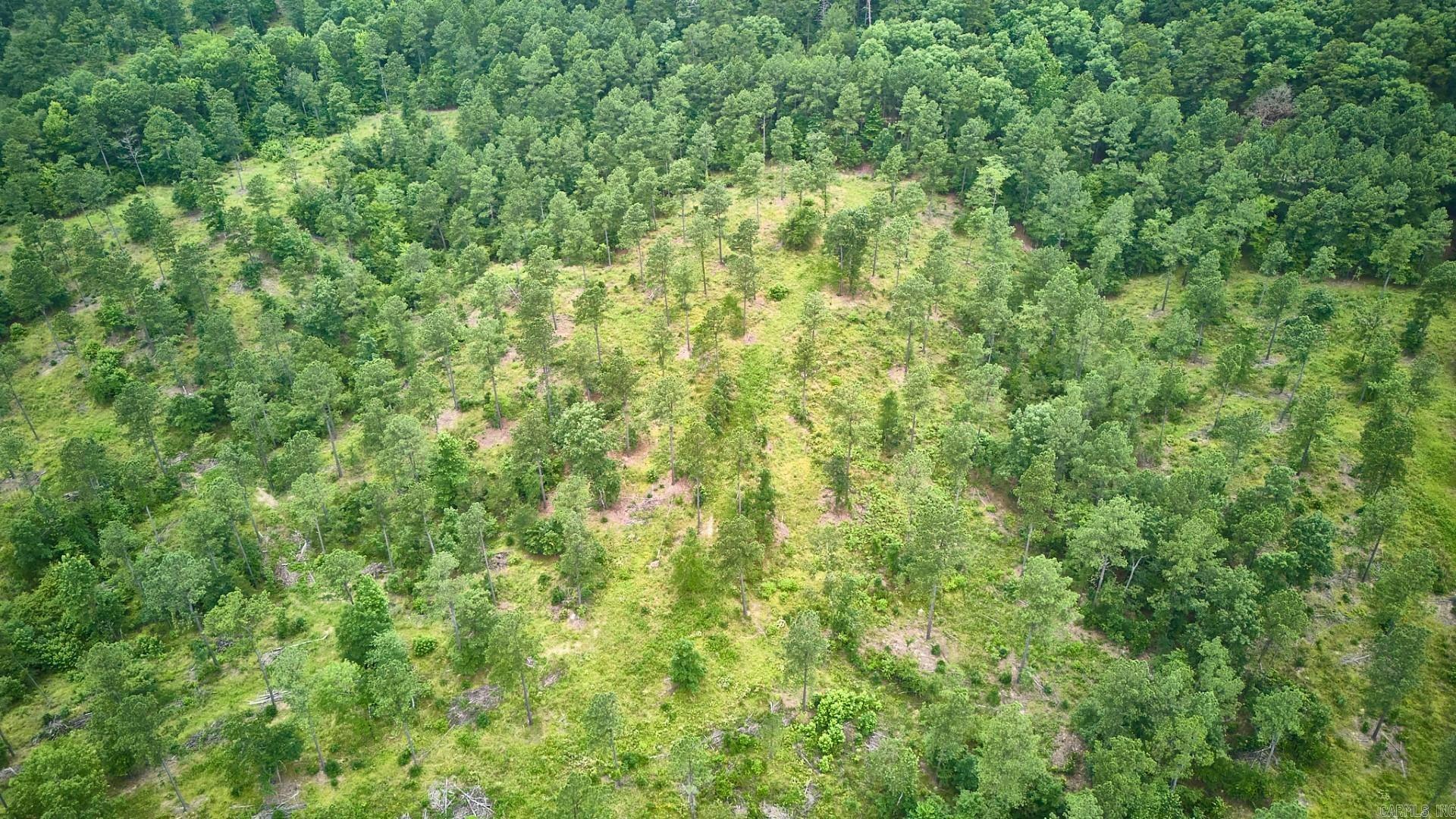 TBD Tract 3 Cedar Creek Road