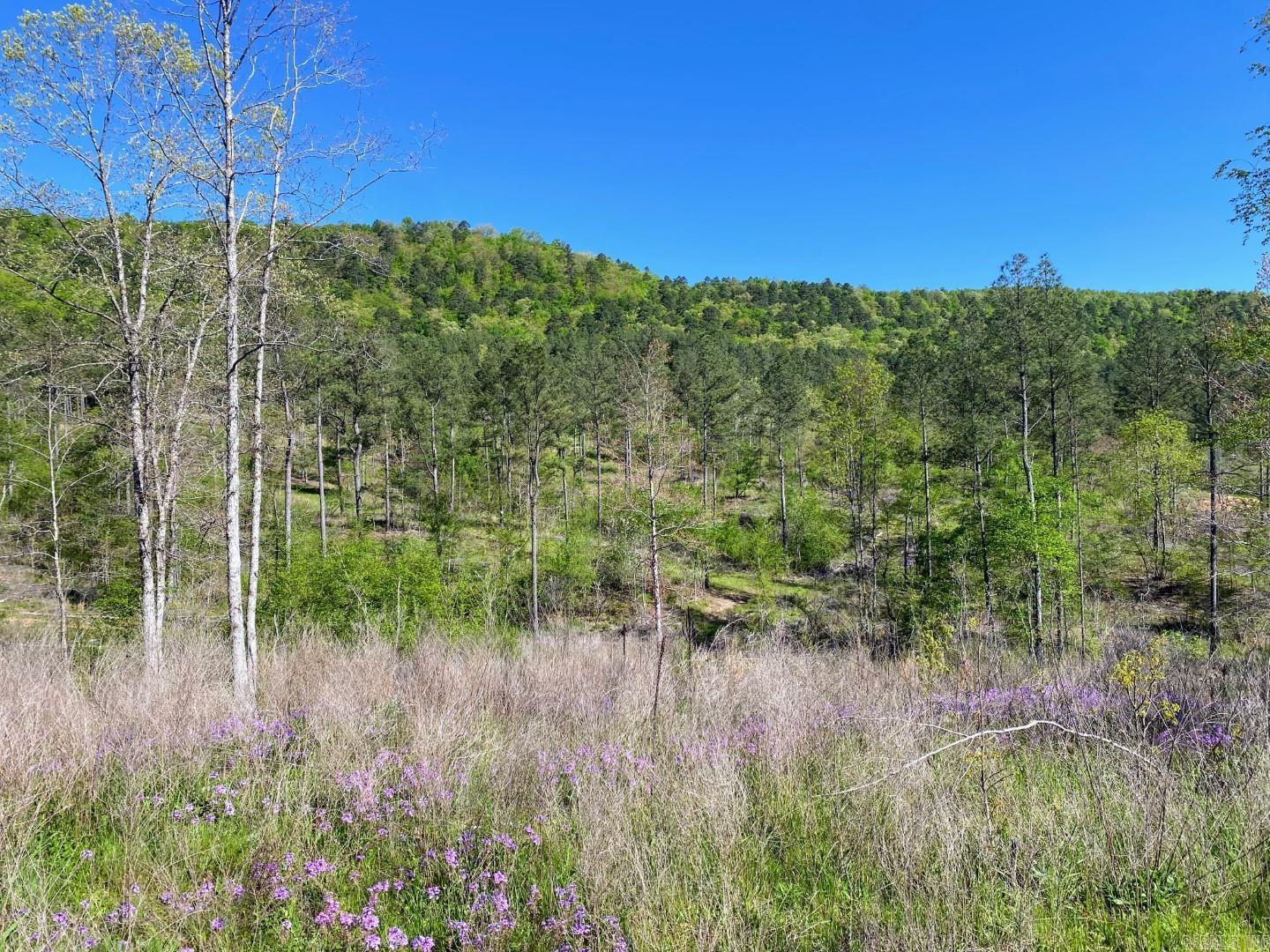 TBD Tract 3 Cedar Creek Road