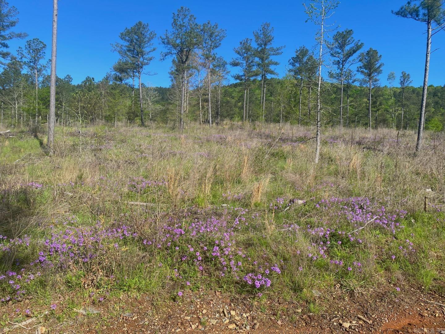 TBD Tract 3 Cedar Creek Road