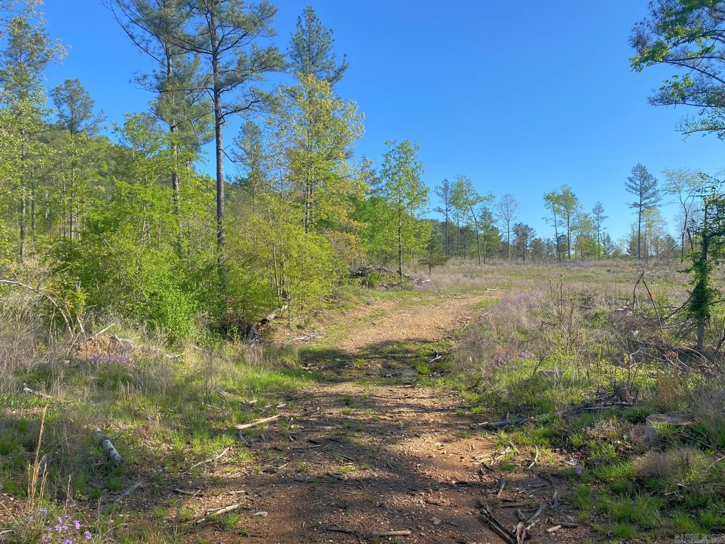 TBD Tract 4 Cedar Creek Road