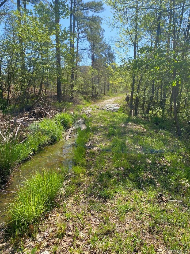 TBD Tract 4 Cedar Creek Road