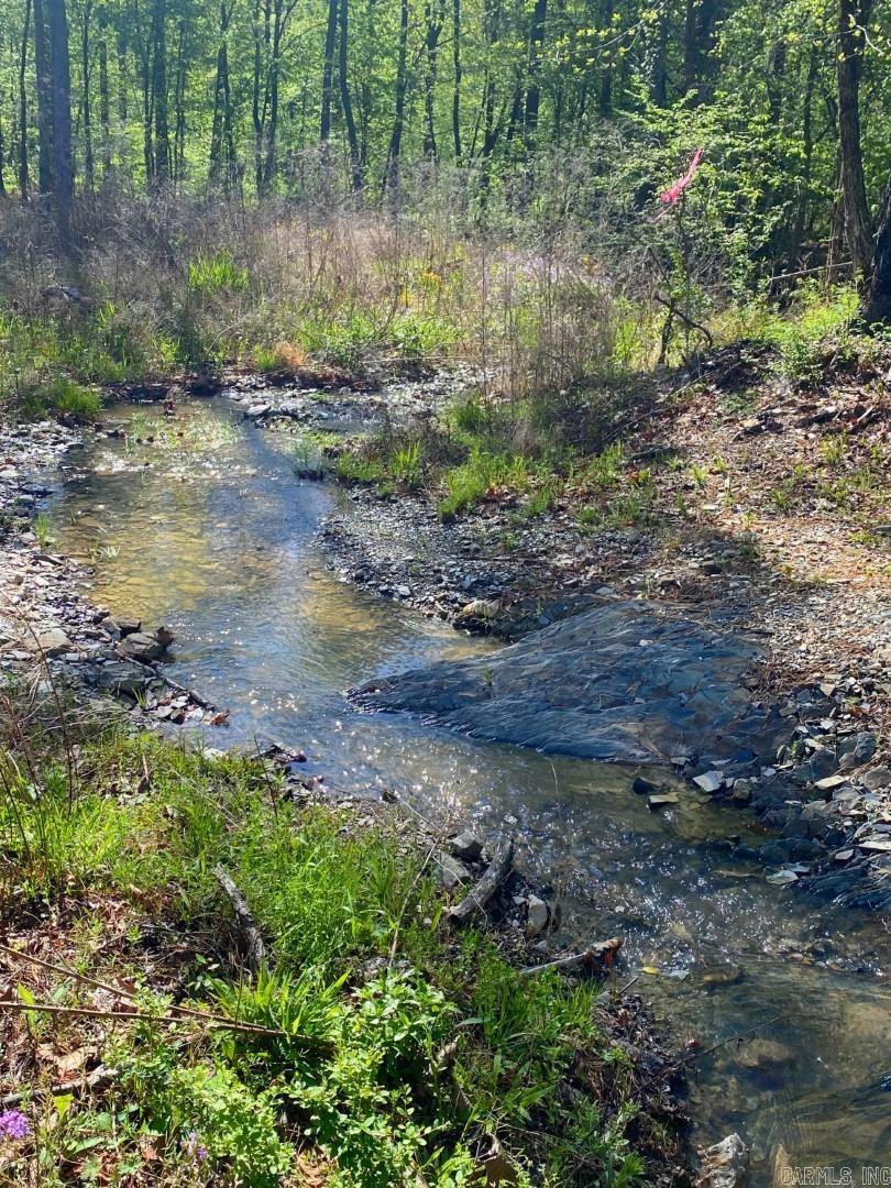 TBD Tract 4 Cedar Creek Road