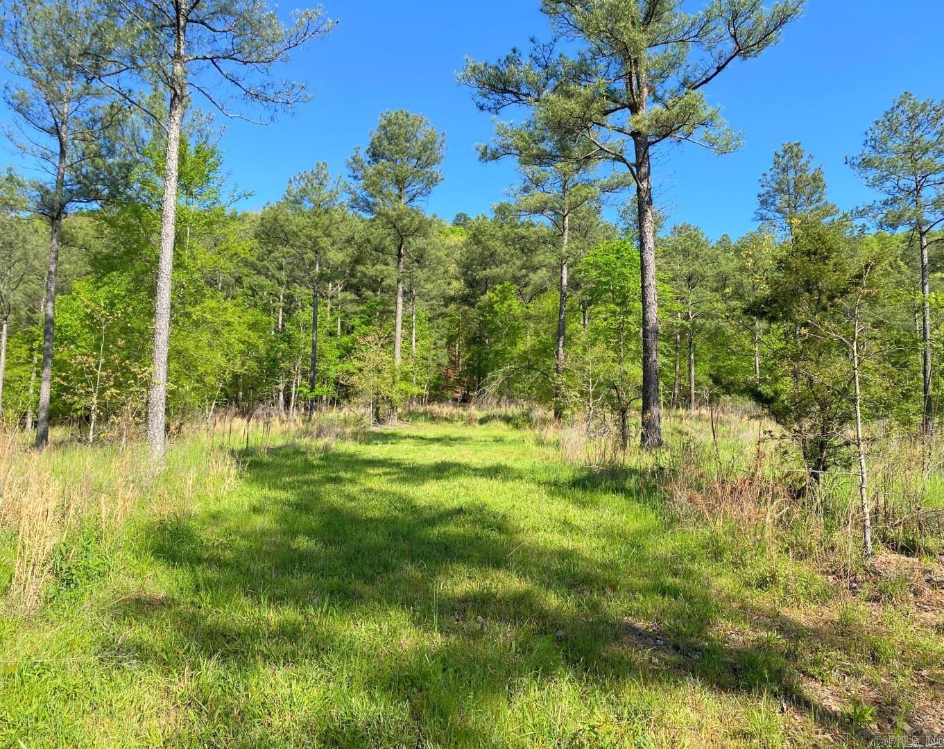 TBD Tract 4 Cedar Creek Road