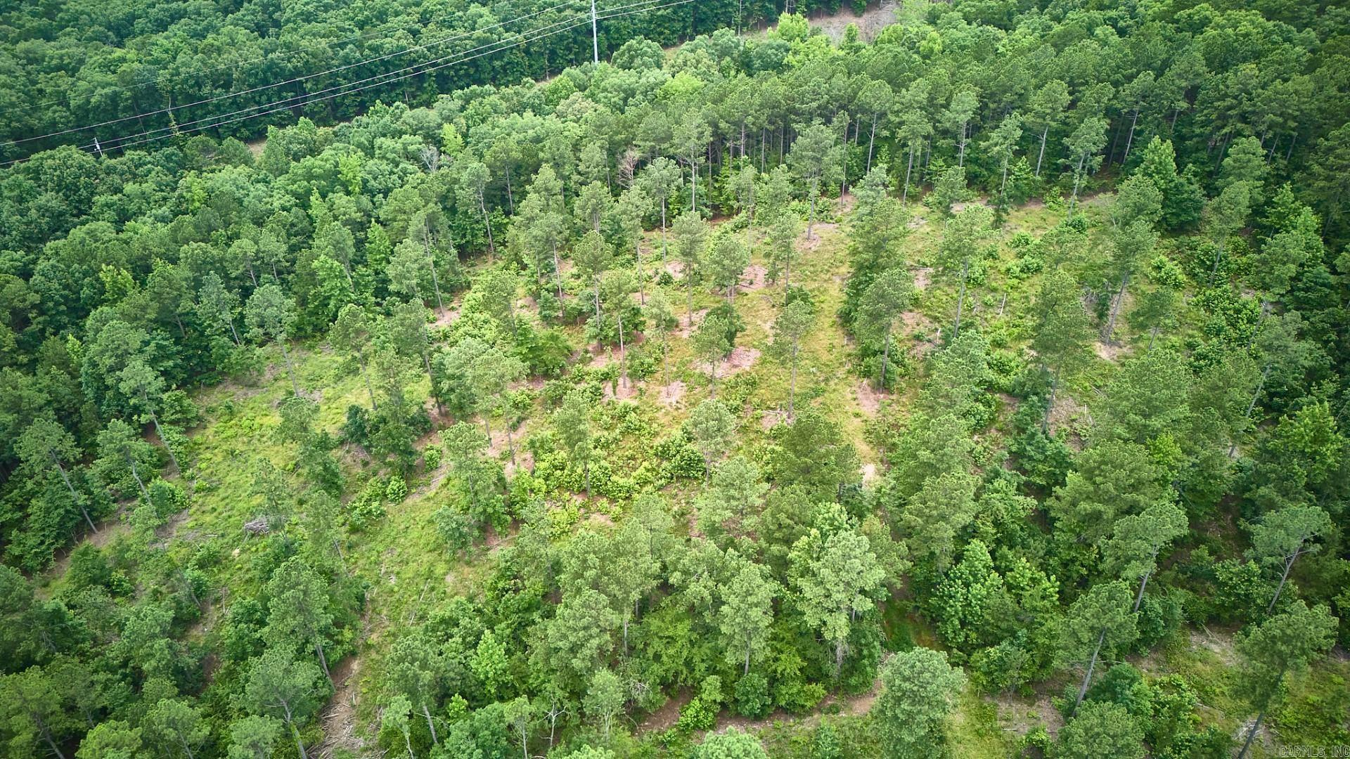TBD Tract 4 Cedar Creek Road