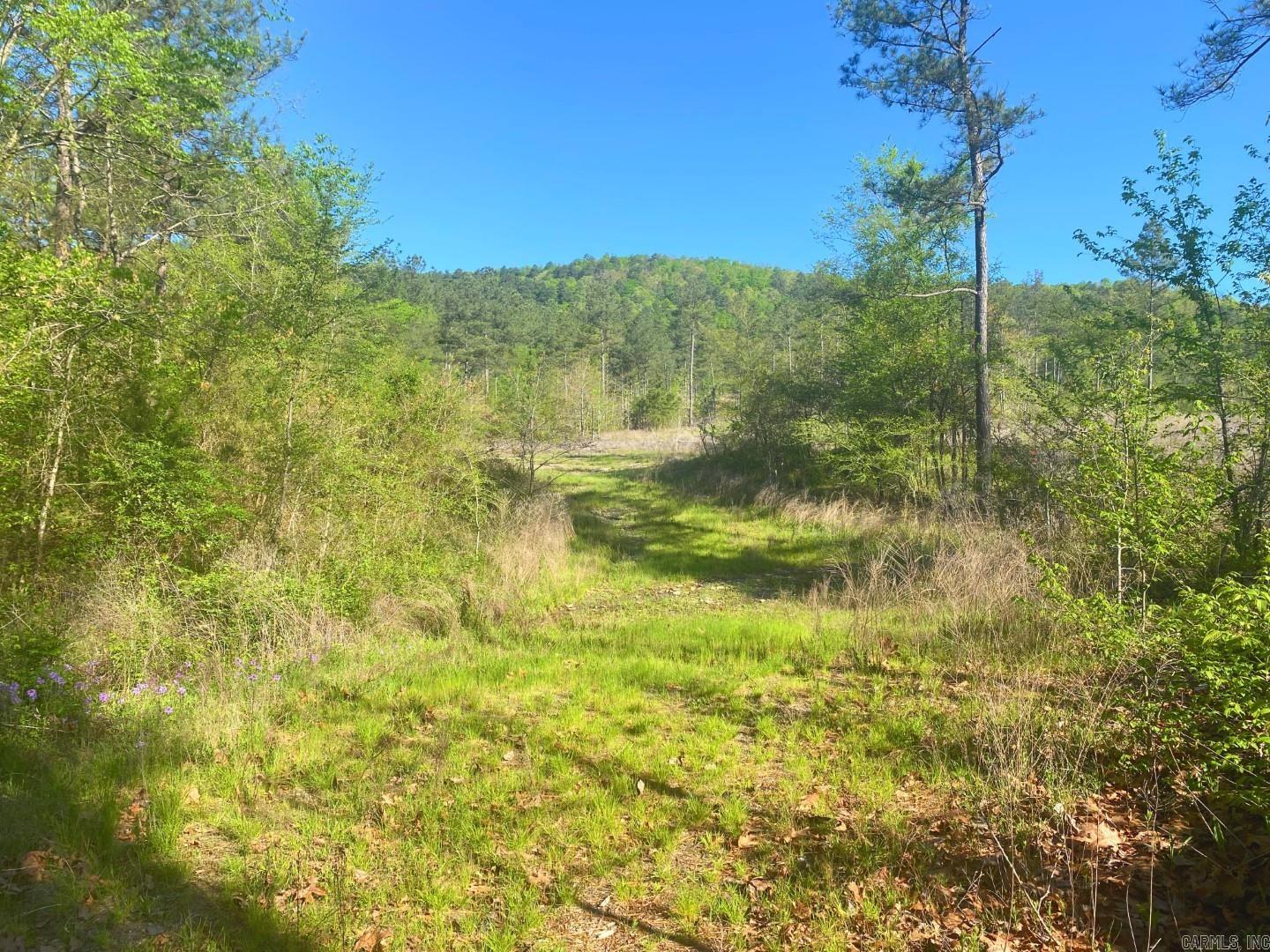 TBD Tract 4 Cedar Creek Road