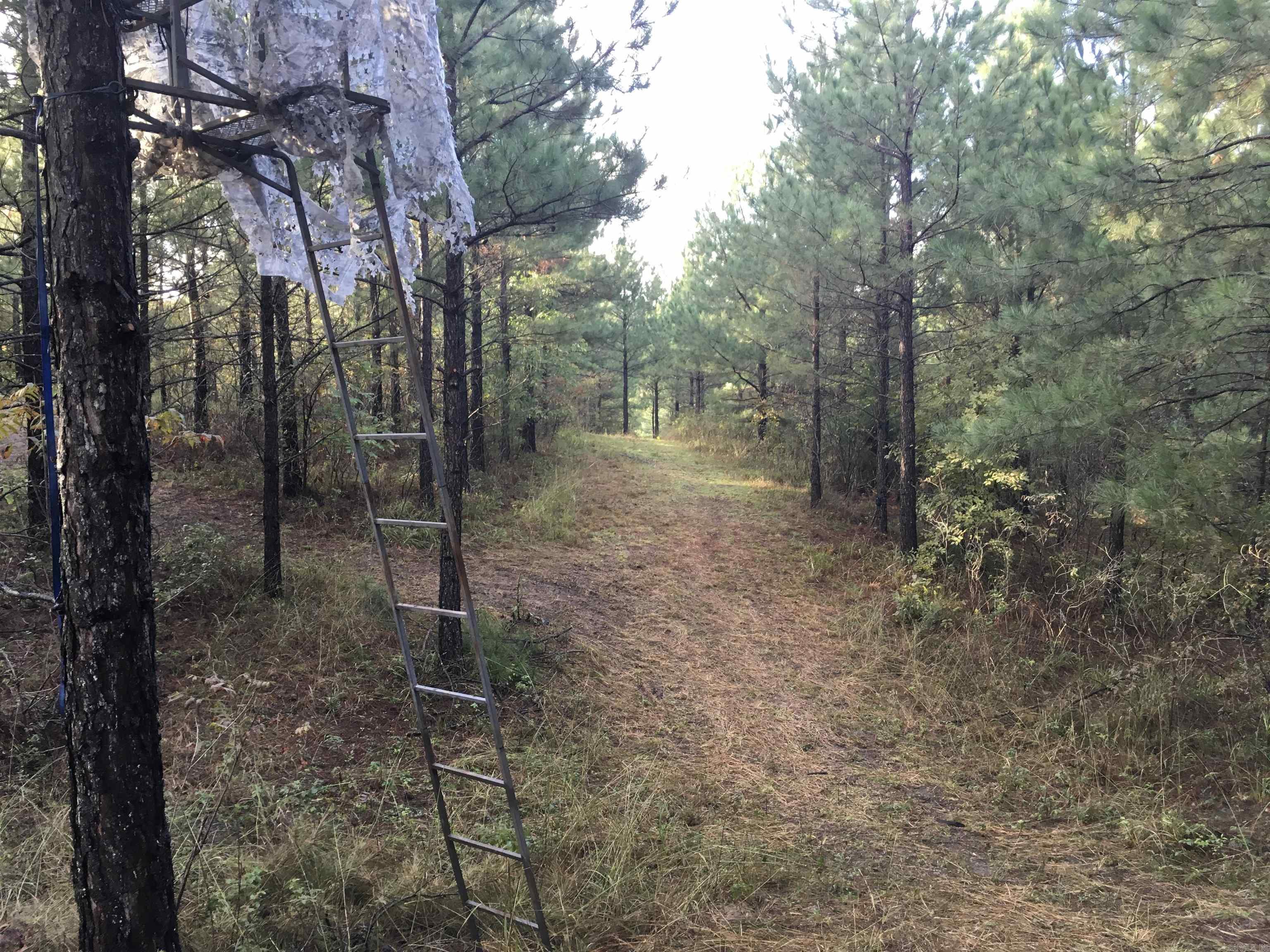 1892 Broken Bow Lane