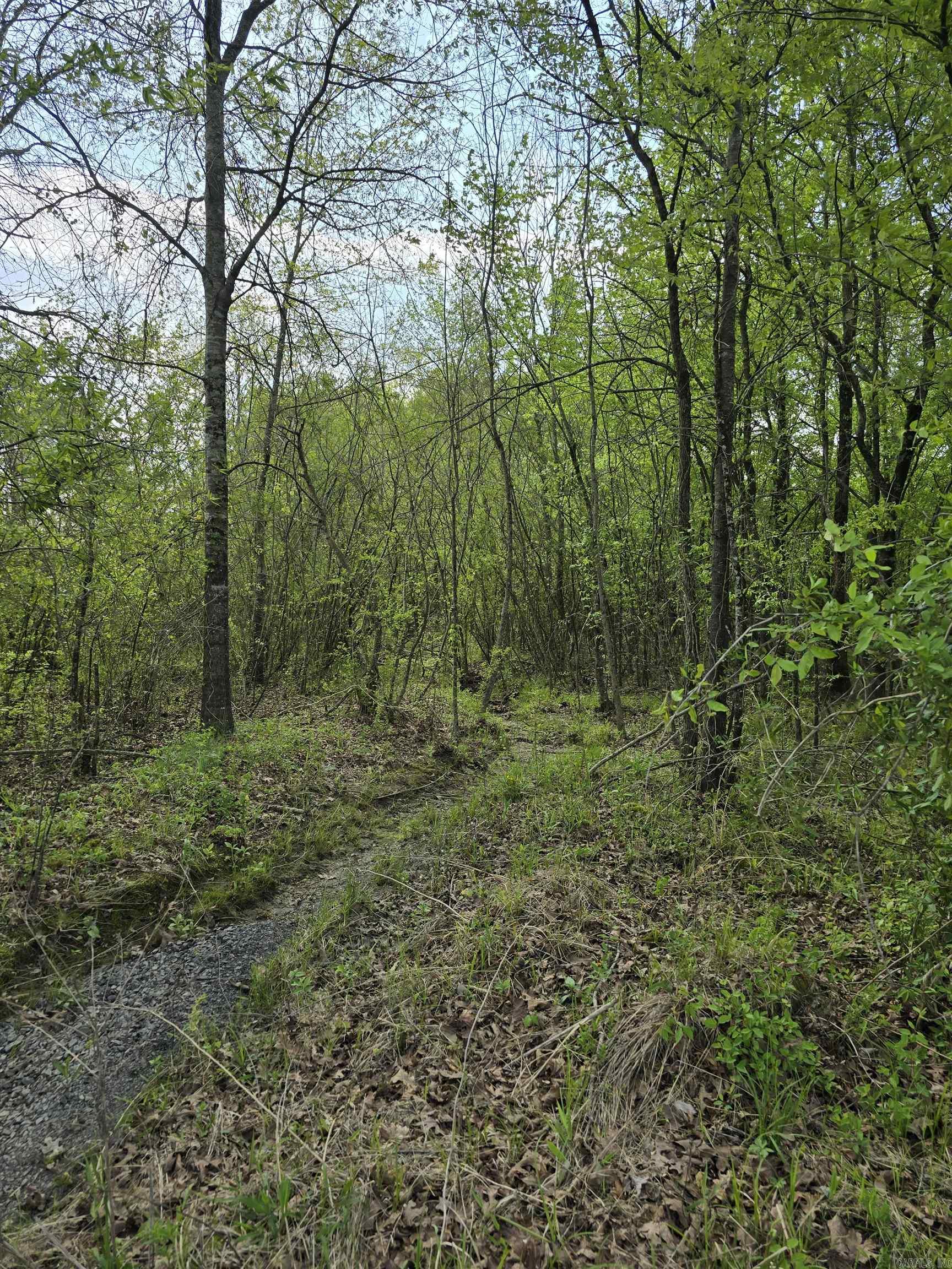 000 Brock Road