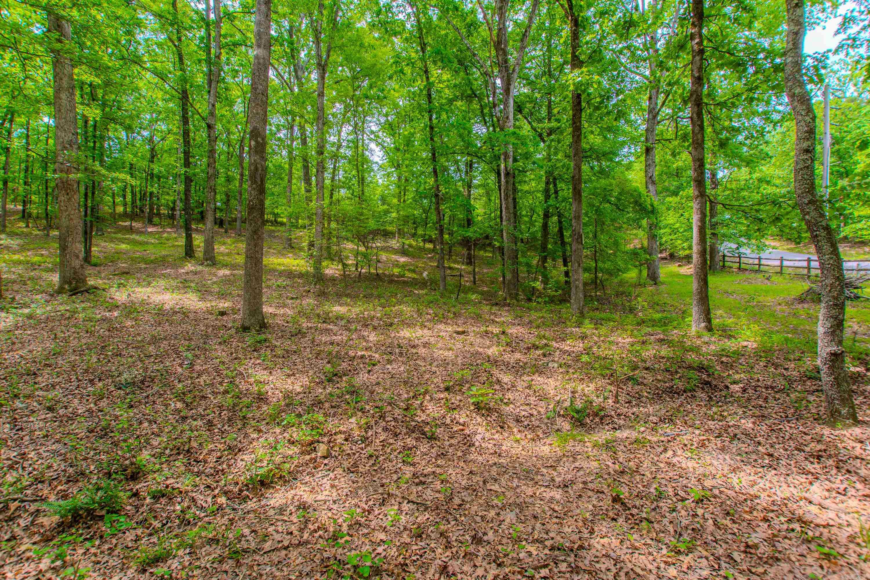 1601 Whispering Pine Road