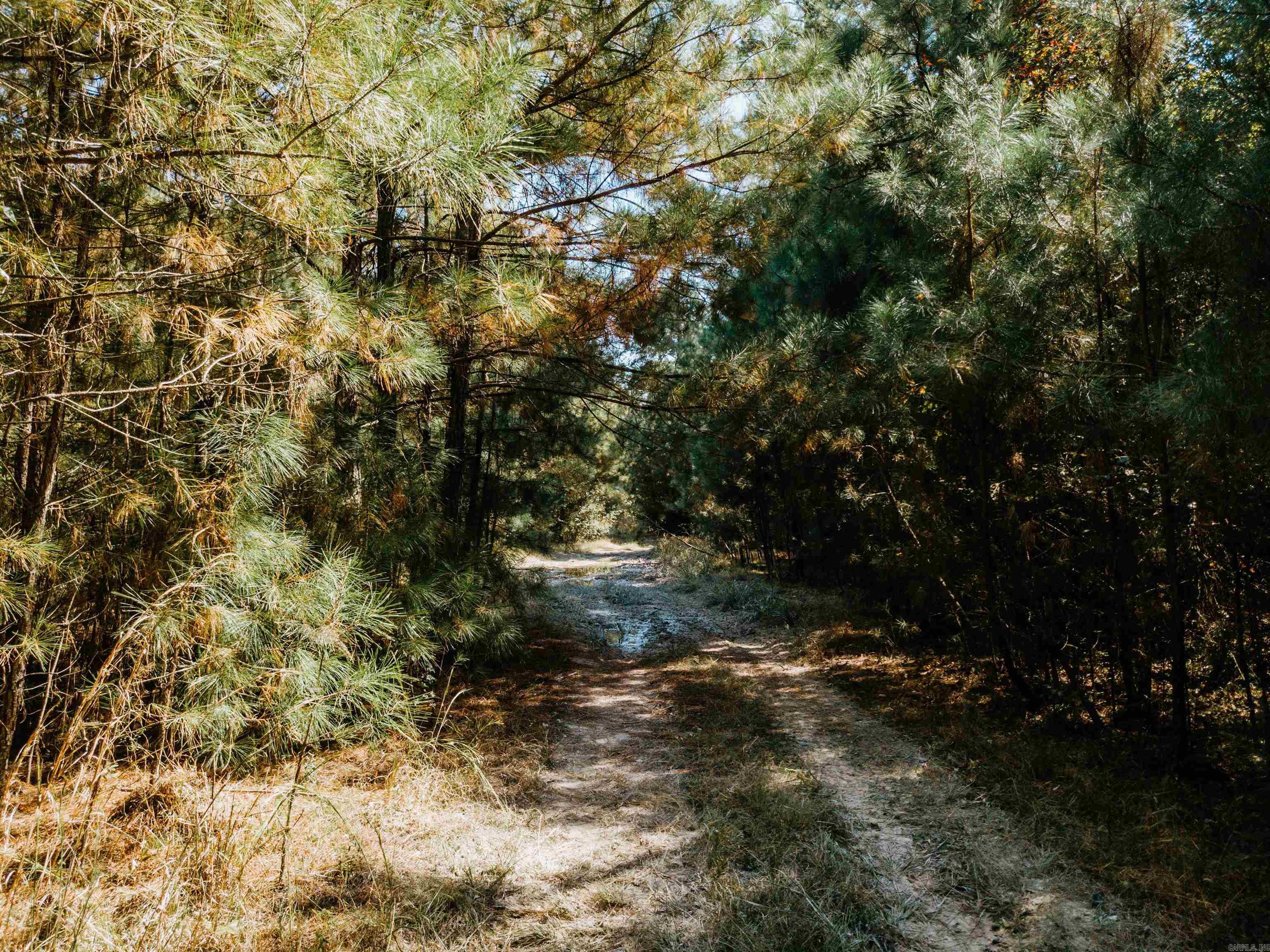000 Opitz Road